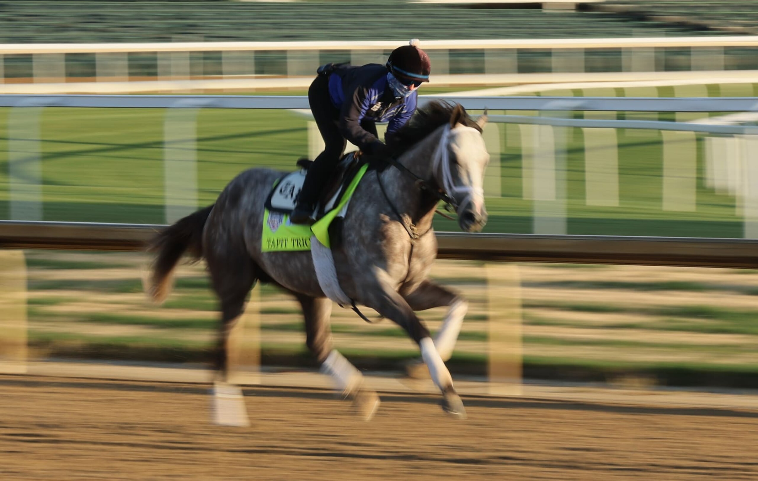 Tapit Trice