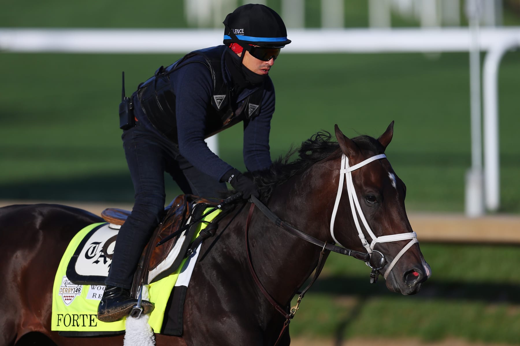 LOUISVILLE, KENTUCKY - MAY 05: Forte trains on the track during morning workouts for the 149th running of the Kentucky Derby at Churchill Downs on May 05, 2023 in Louisville, Kentucky. (Photo by Michael Reaves/Getty Images)