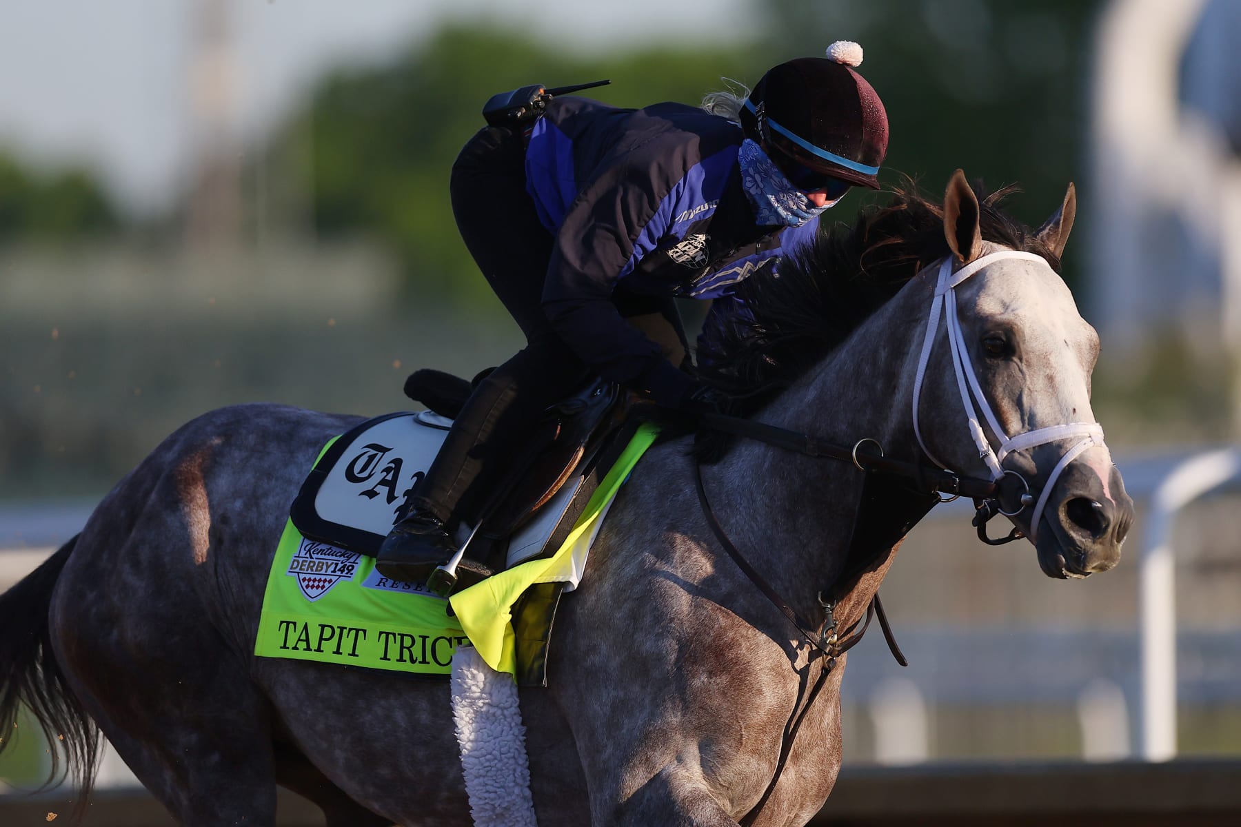 LOUISVILLE, KENTUCKY - MAY 04: Tapit Trice trains on the track during morning workouts in preparation for the 149th running of the Kentucky Derby at Churchill Downs on May 04, 2023 in Louisville, Kentucky. (Photo by Michael Reaves/Getty Images)