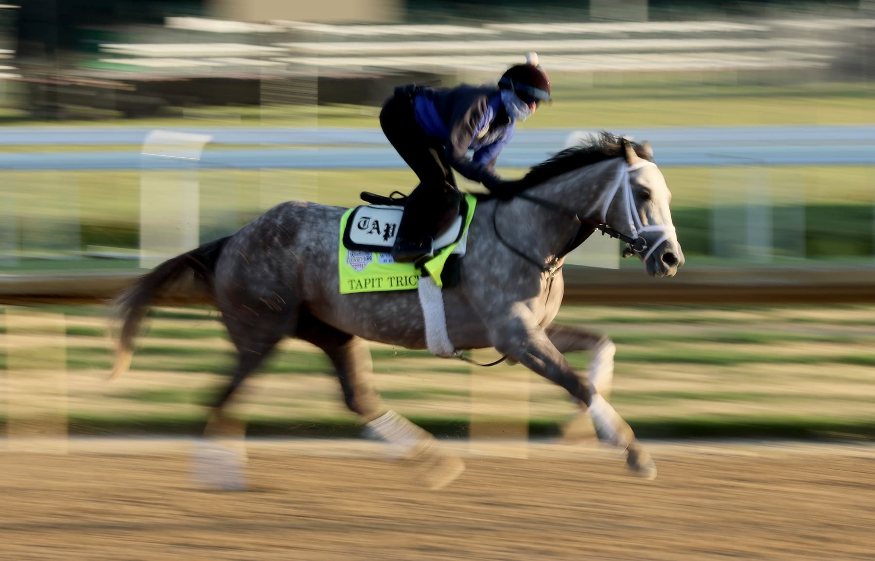 LOUISVILLE, KENTUCKY - MAY 04: Tapit Trice during the morning training for the Kentucky Derby at Churchill Downs on May 04, 2023 in Louisville, Kentucky. (Photo by Andy Lyons/Getty Images)