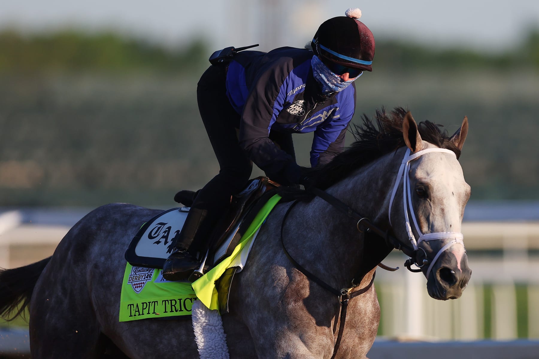 LOUISVILLE, KENTUCKY - MAY 04: Tapit Trice trains on the track during morning workouts in preparation for the 149th running of the Kentucky Derby at Churchill Downs on May 04, 2023 in Louisville, Kentucky. (Photo by Michael Reaves/Getty Images)