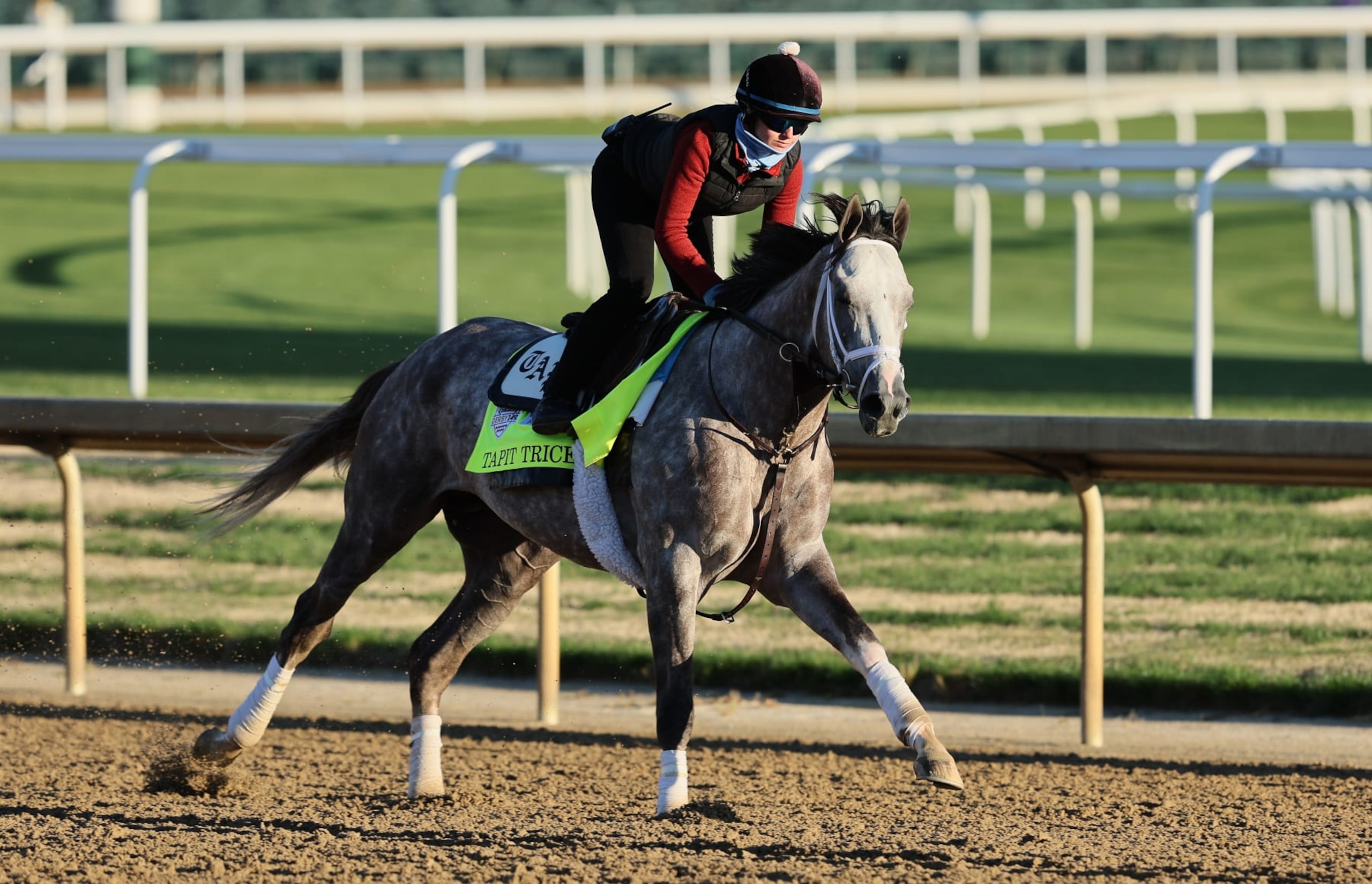 LOUISVILLE, KENTUCKY - MAY 03: Tapit Trice runs on the track during the morning training for the Kentucky Derby at Churchill Downs on May 03, 2023 in Louisville, Kentucky. (Photo by Andy Lyons/Getty Images)