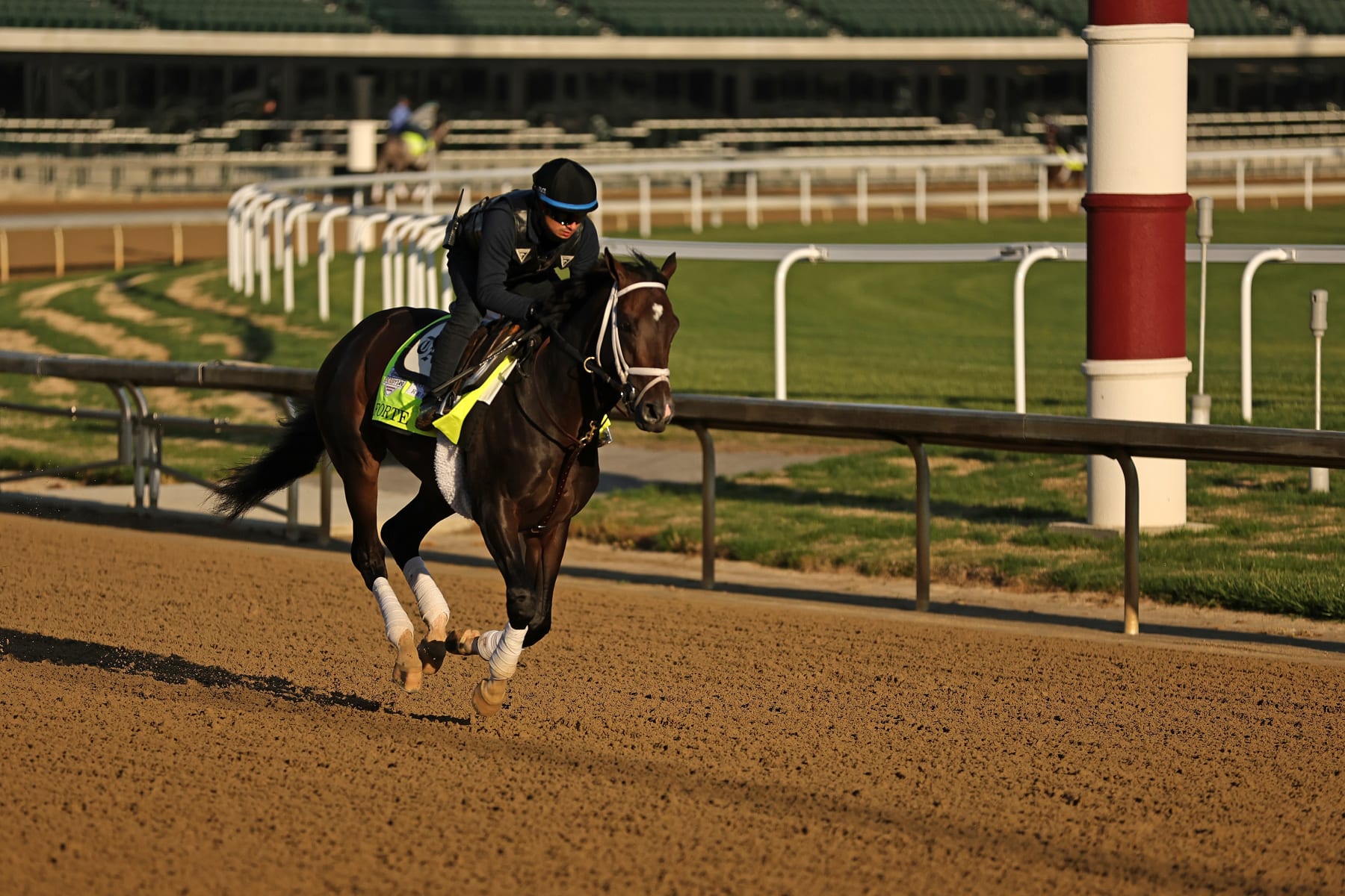 LOUISVILLE, KENTUCKY - MAY 05: Forte trains on the track during morning workouts in preparation for the 149th running of the Kentucky Derby at Churchill Downs on May 05, 2023 in Louisville, Kentucky. (Photo by Stacy Revere/Getty Images)