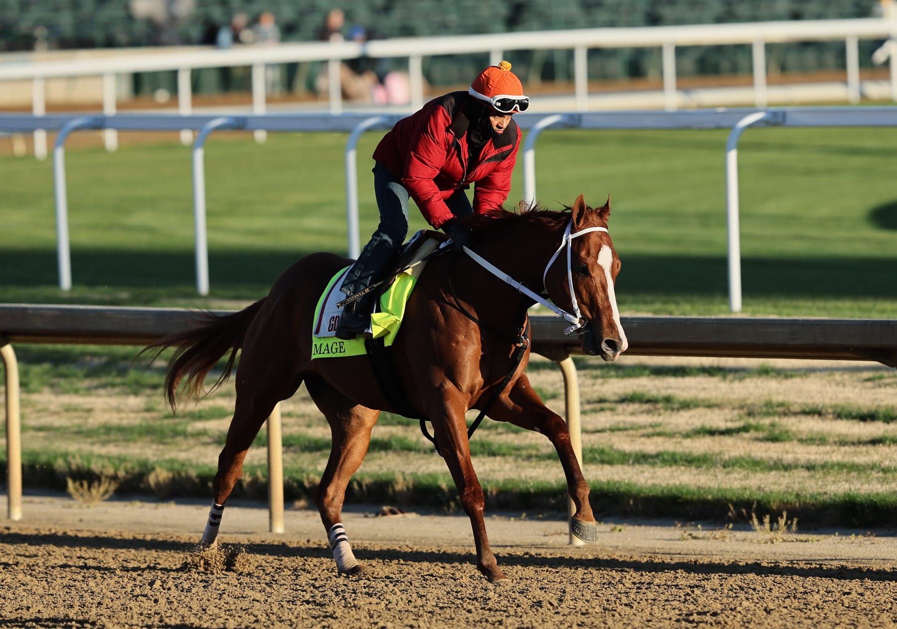 LOUISVILLE, KENTUCKY - MAY 03: Mage runs on the track during the morning training for the Kentucky Derby at Churchill Downs on May 03, 2023 in Louisville, Kentucky. (Photo by Andy Lyons/Getty Images)