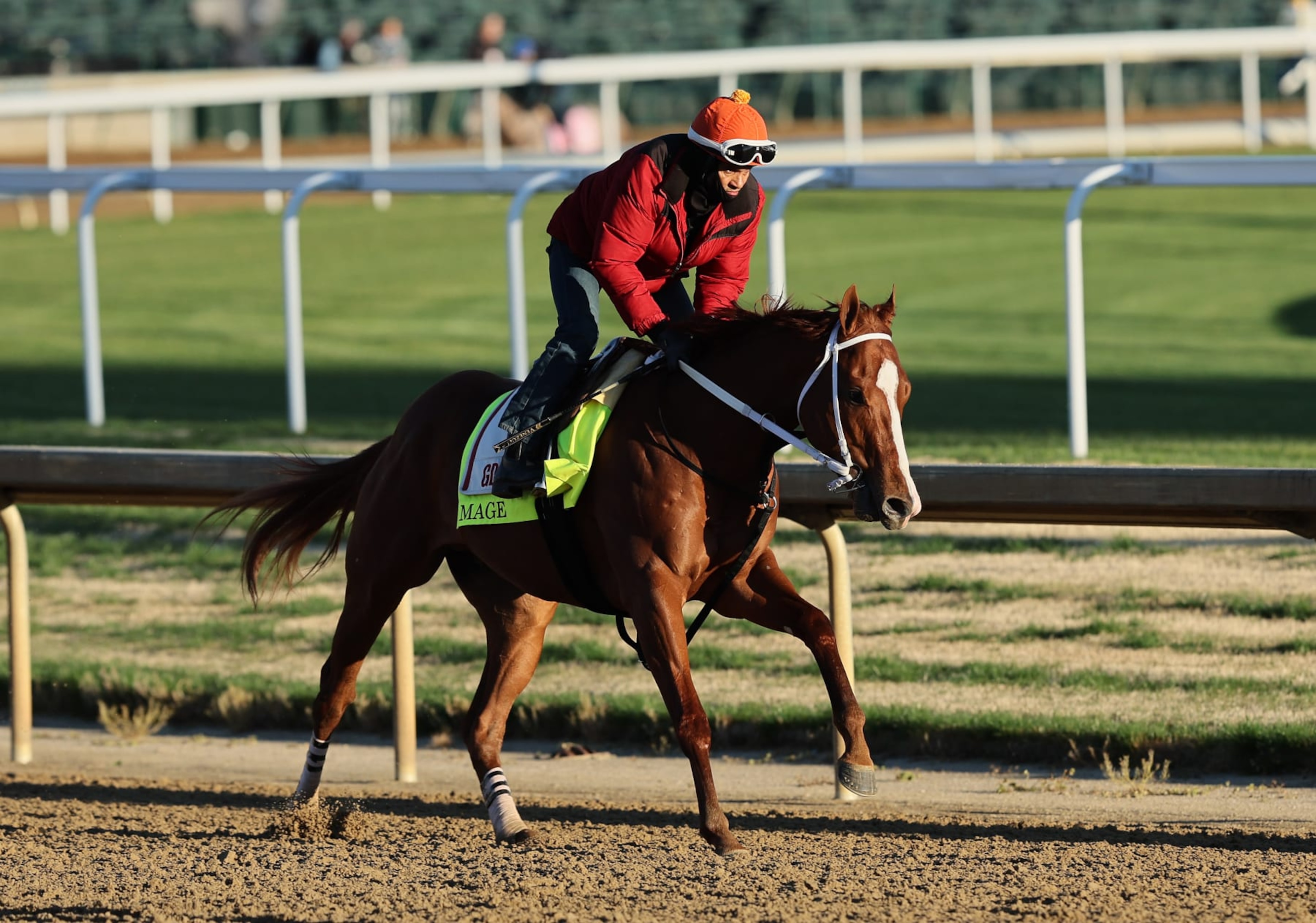 LOUISVILLE, KENTUCKY - MAY 03: Mage runs on the track during the morning training for the Kentucky Derby at Churchill Downs on May 03, 2023 in Louisville, Kentucky. (Photo by Andy Lyons/Getty Images) LOUISVILLE, KENTUCKY - MAY 03: Mage runs on the track during the morning training for the Kentucky Derby at Churchill Downs on May 03, 2023 in Louisville, Kentucky. (Photo by Andy Lyons/Getty Images)