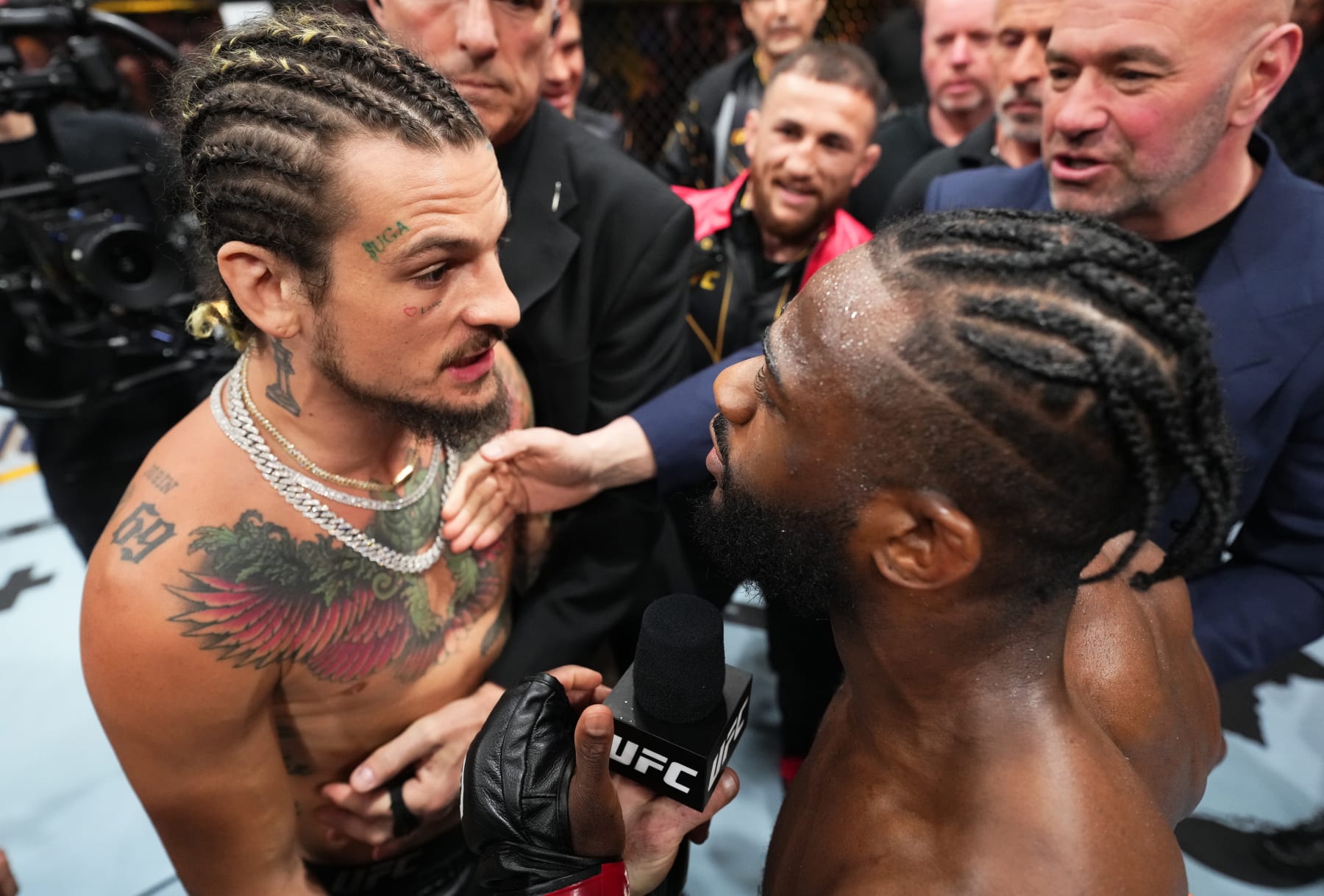 Sean O'Malley (left) and Aljamain Sterling. 