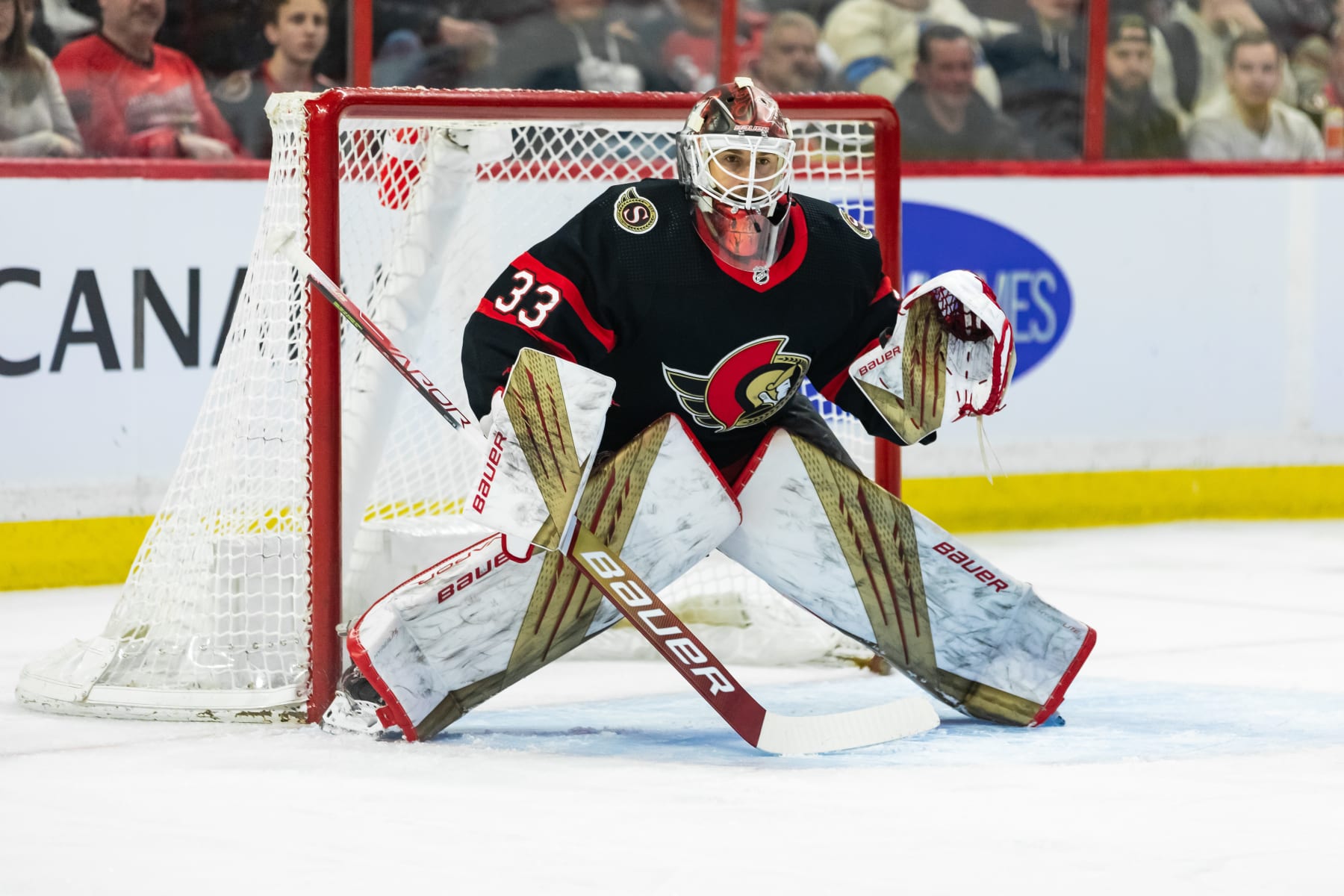 OTTAWA, ON - APRIL 08: Ottawa Senators Goalie Cam Talbot (33) keeps eyes on the play during first period National Hockey League action between the Tampa Bay Lightning and Ottawa Senators on April 8, 2023, at Canadian Tire Centre in Ottawa, ON, Canada. (Photo by Richard A. Whittaker/Icon Sportswire via Getty Images)