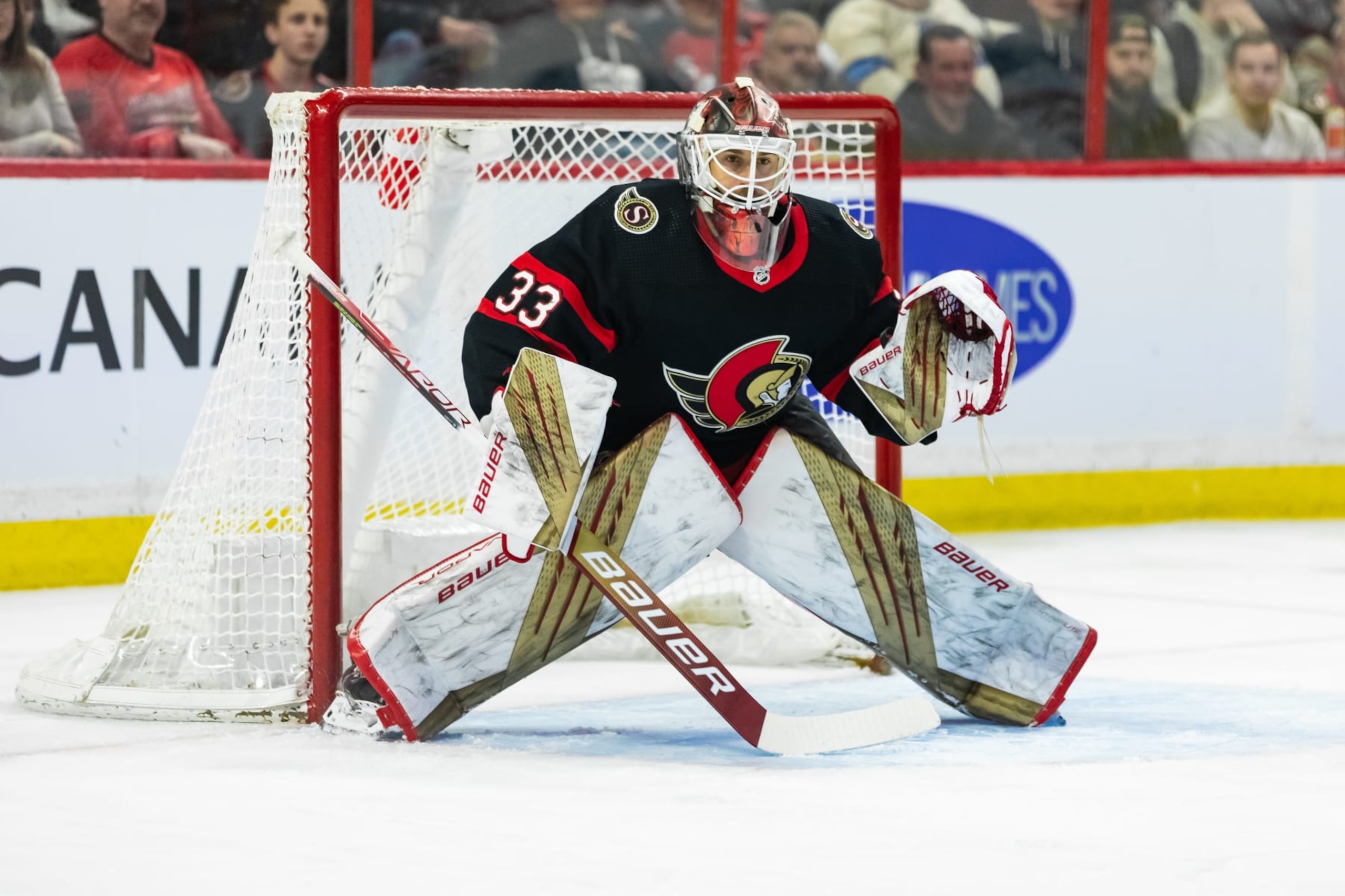 OTTAWA, ON - APRIL 08: Ottawa Senators Goalie Cam Talbot (33) keeps eyes on the play during first period National Hockey League action between the Tampa Bay Lightning and Ottawa Senators on April 8, 2023, at Canadian Tire Centre in Ottawa, ON, Canada. (Photo by Richard A. Whittaker/Icon Sportswire via Getty Images)