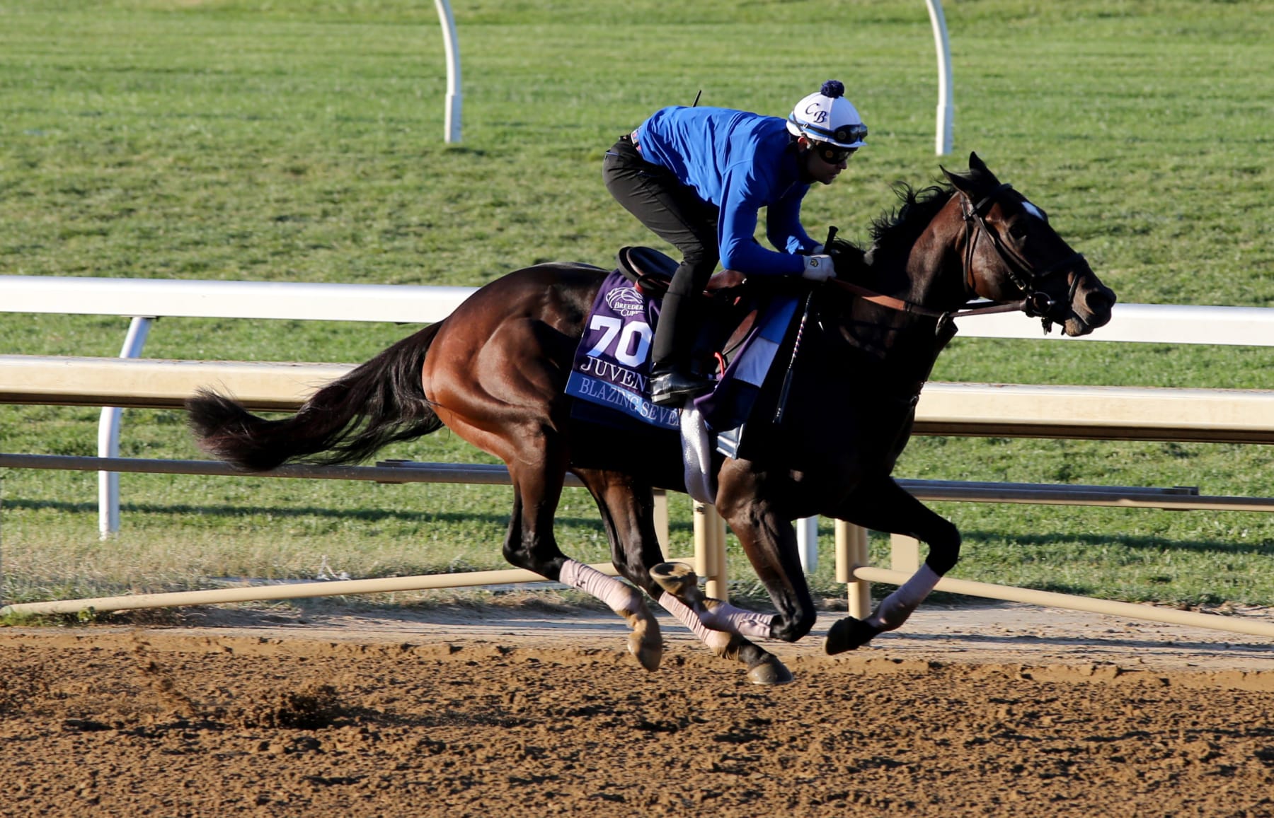 Blazing Sevens at the 2022 Breeders' Cup