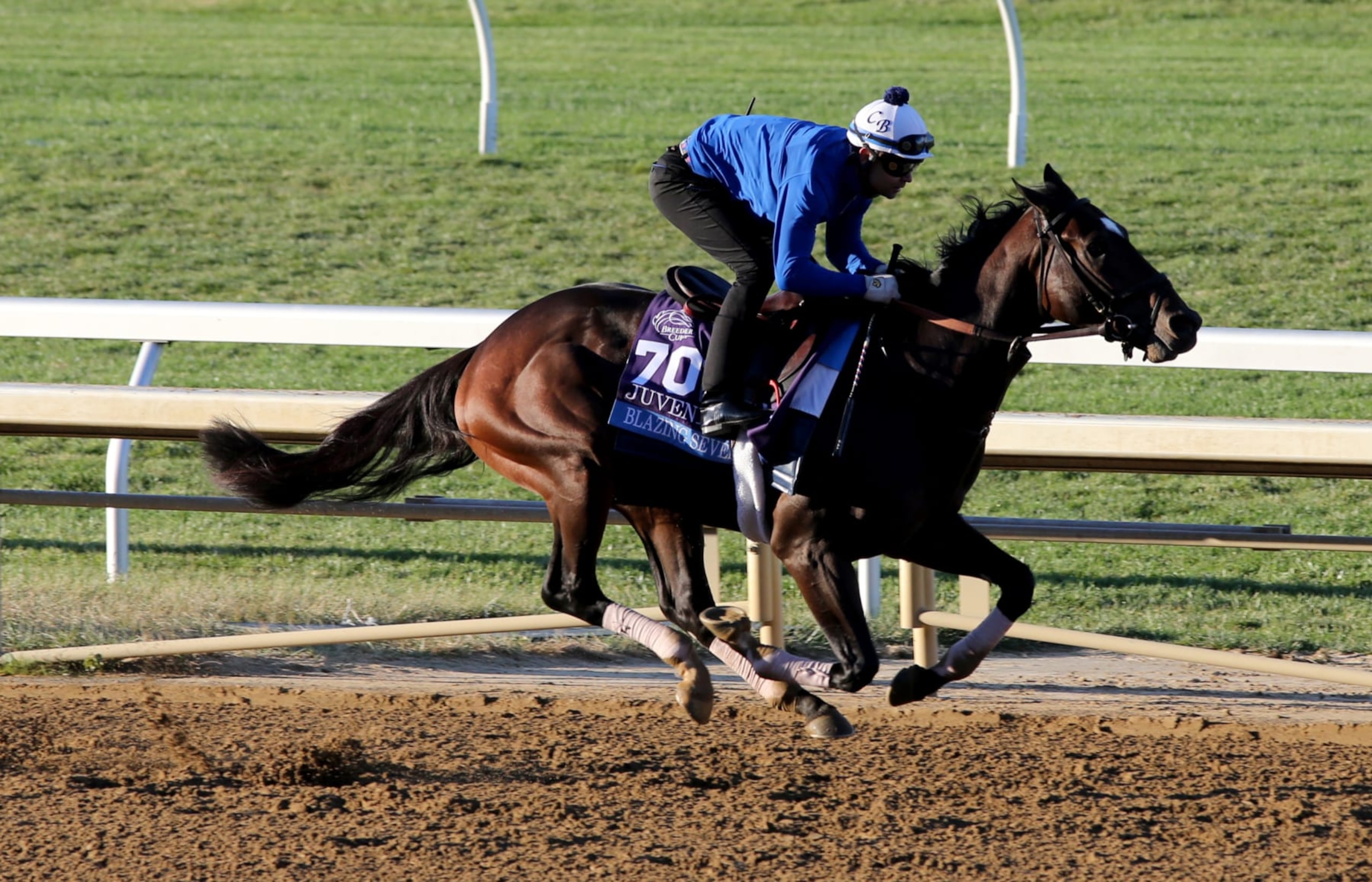 Blazing Sevens at the 2022 Breeders' Cup