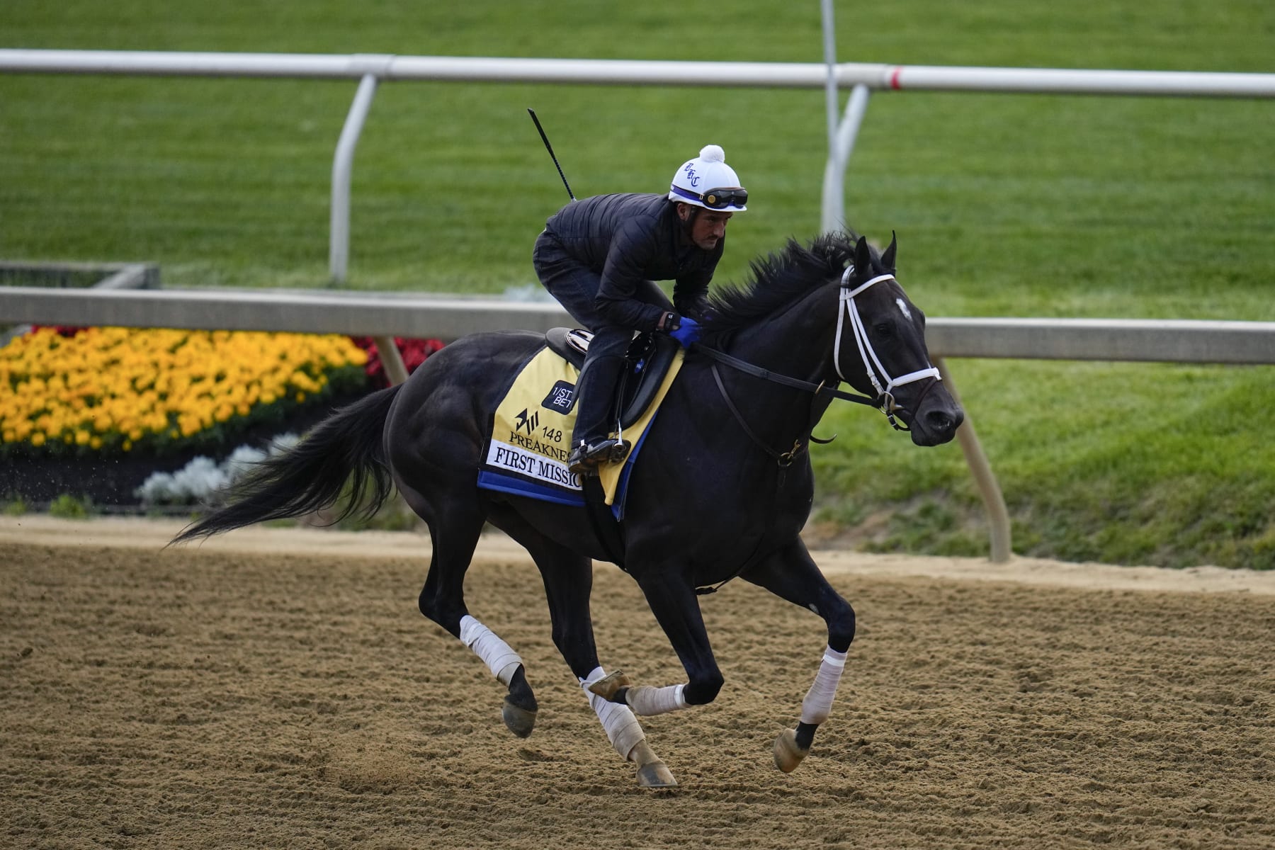 First Mission works out for the 148th Preakness.