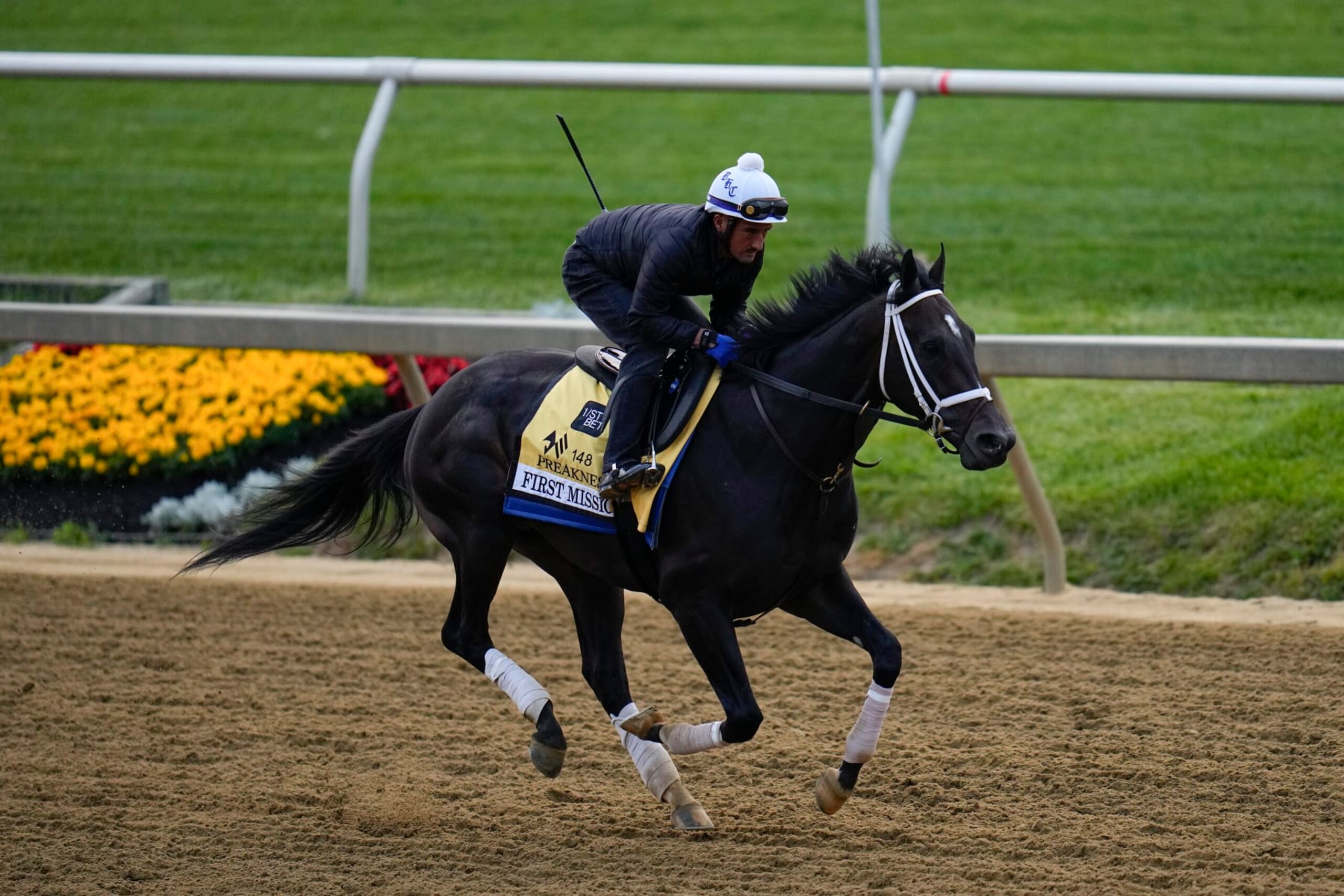 First Mission works out for the 148th Preakness.