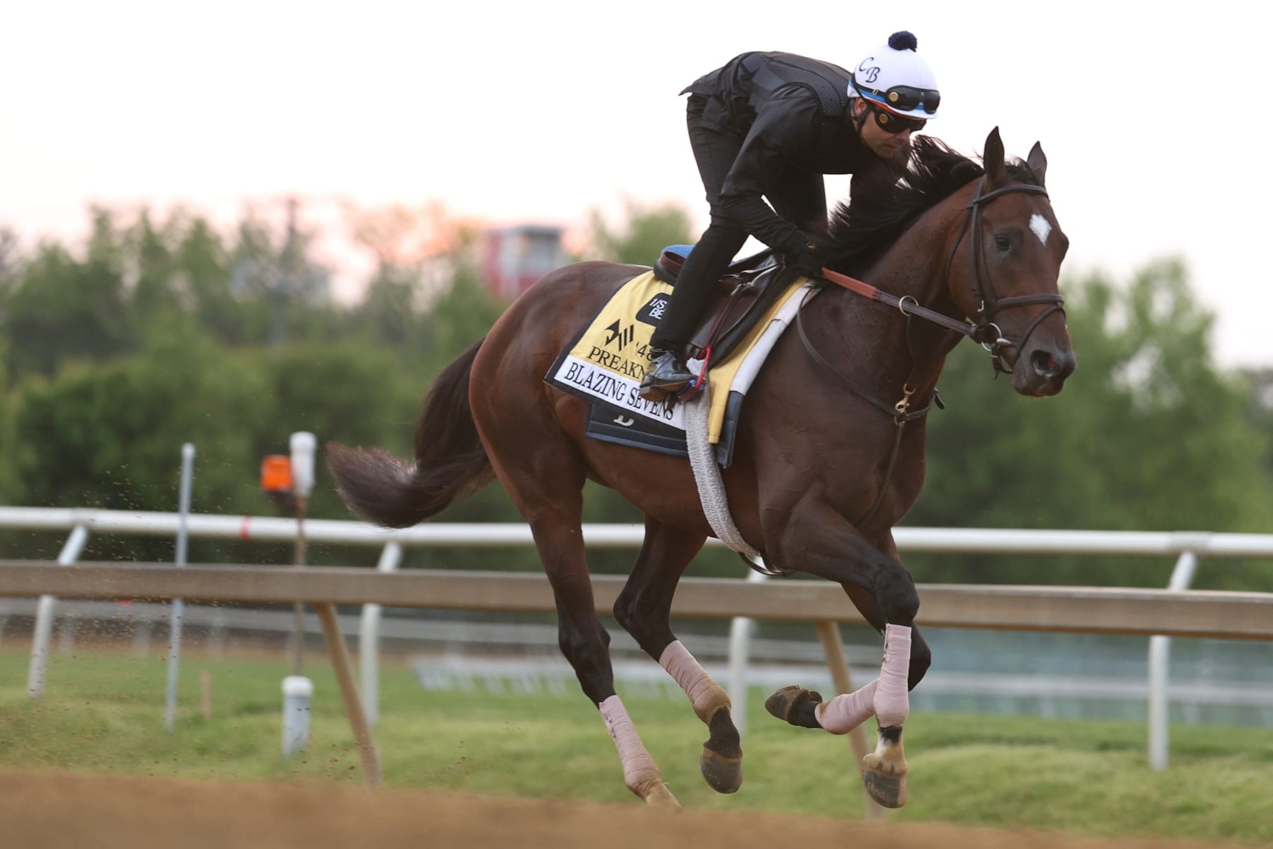 Blazing Sevens prepares for the Preakness Blazing Sevens prepares for the Preakness