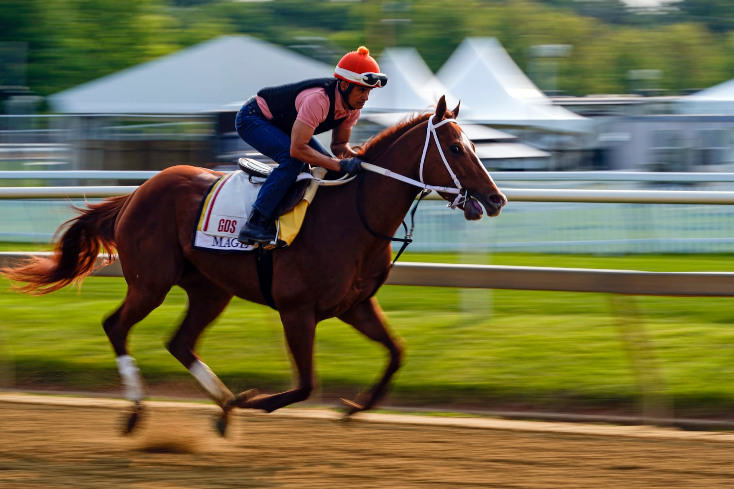 Kentucky Derby winner Mage prepares for the Preakness. Kentucky Derby winner Mage prepares for the Preakness.