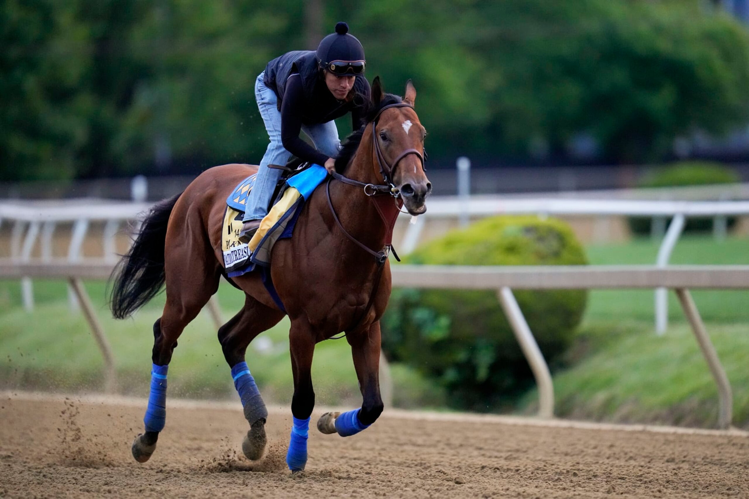 Preakness Stakes entrant National Treasure works out with an exercise jockey ahead of the 148th running of the Preakness Stakes horse race at Pimlico Race Course, Wednesday, May 17, 2023, in Baltimore. (AP Photo/Julio Cortez)