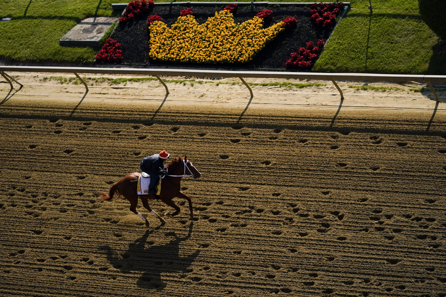 Kentucky Derby winner Mage works out ahead of the 148th running of the Preakness Stakes horse race at Pimlico Race Course, Thursday, May 18, 2023, in Baltimore. (AP Photo/Julio Cortez)