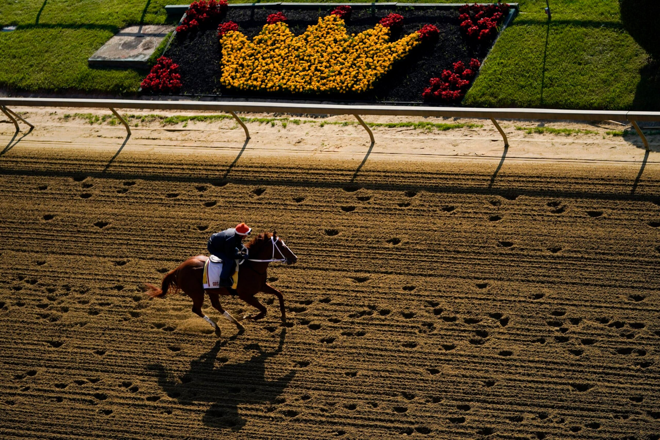 Kentucky Derby winner Mage works out ahead of the 148th running of the Preakness Stakes horse race at Pimlico Race Course, Thursday, May 18, 2023, in Baltimore. (AP Photo/Julio Cortez)