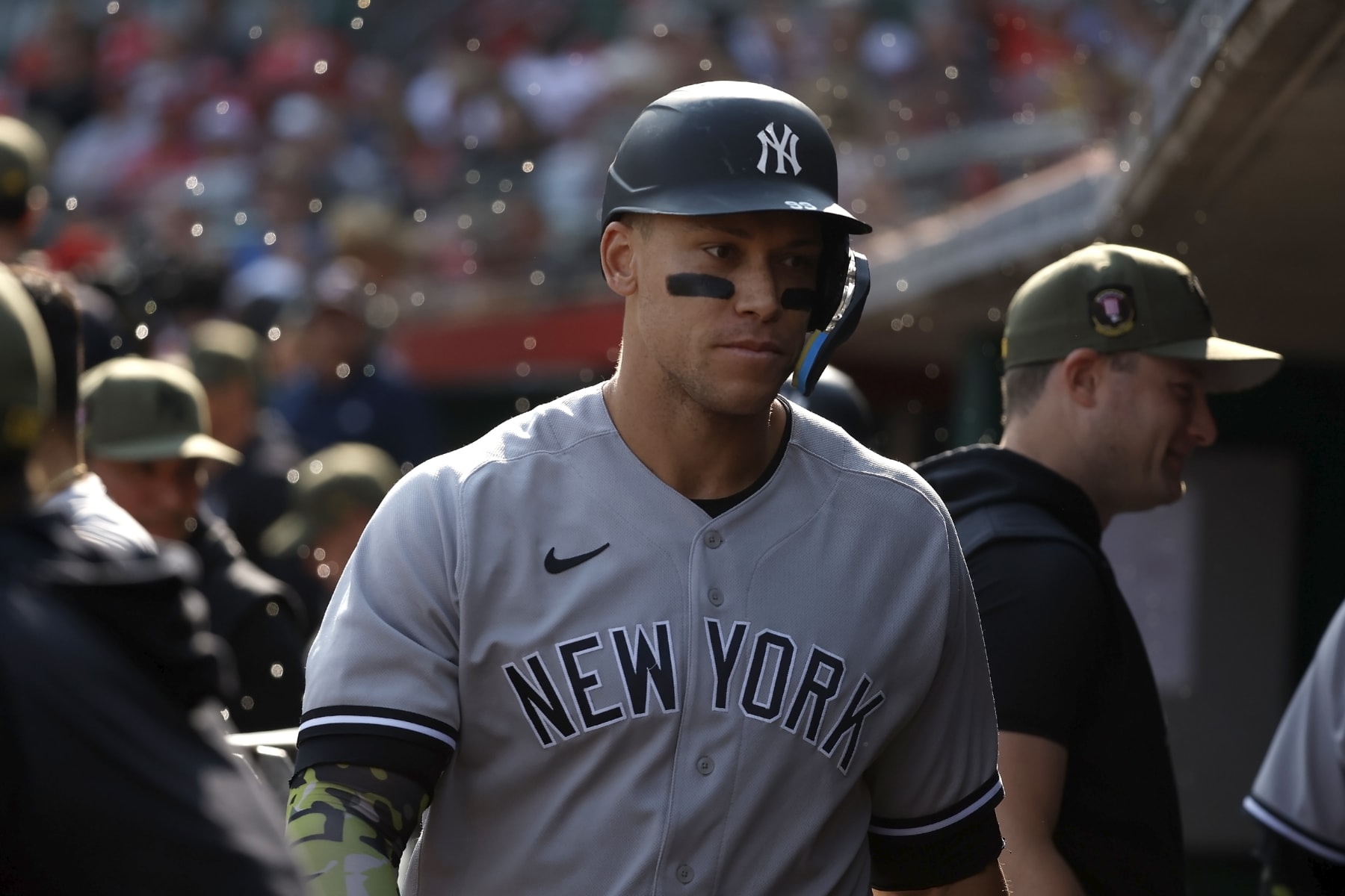 Aaron Judge
