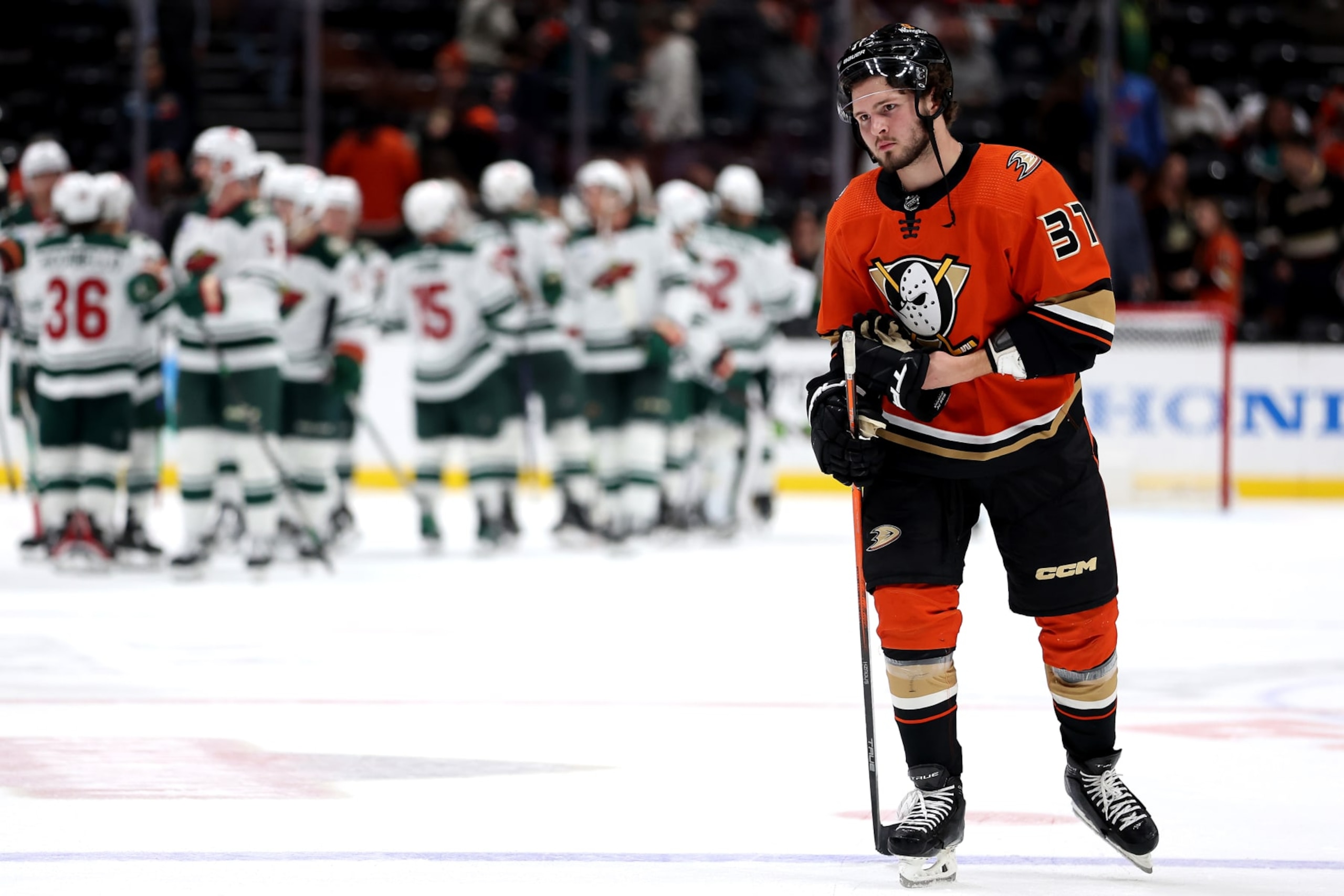 ANAHEIM, CALIFORNIA - DECEMBER 21: The Minnesota Wild celebrate as Mason McTavish #37 of the Anaheim Ducks looks on after losing 4-1 in a game at Honda Center on December 21, 2022 in Anaheim, California. (Photo by Sean M. Haffey/Getty Images)