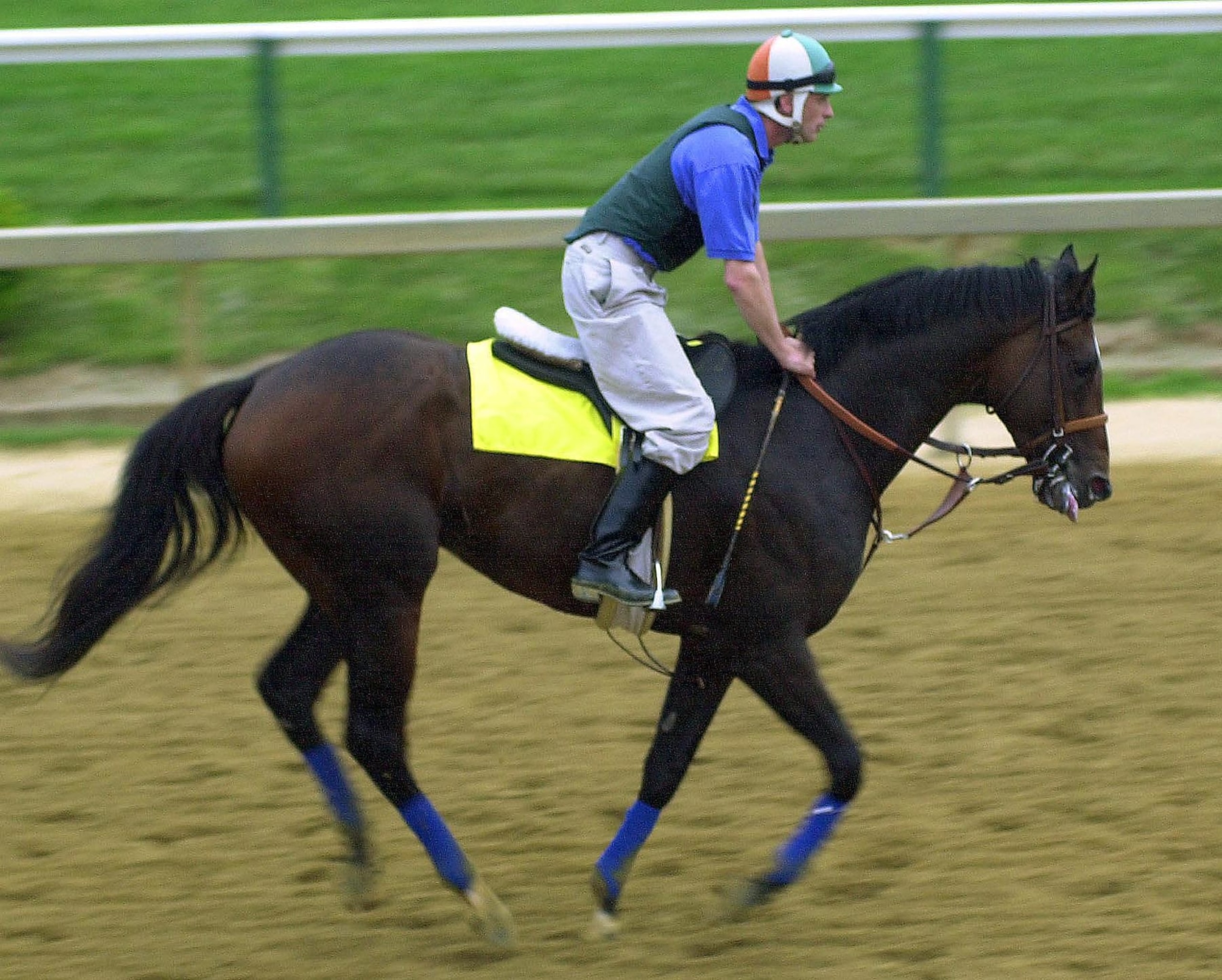 BALTIMORE, :  Kentucky Derby winner and Preakness Stakes favorite Fusaichi Pegasus trots during an early morning workout with exercise rider Andrew Durnin 19 May 2000 at Pimlico race track in Baltimore, MD. The Preakness Stakes will be run 20 May.  AFP PHOTO/HEATHER HALL (Photo credit should read HEATHER HALL/AFP via Getty Images)