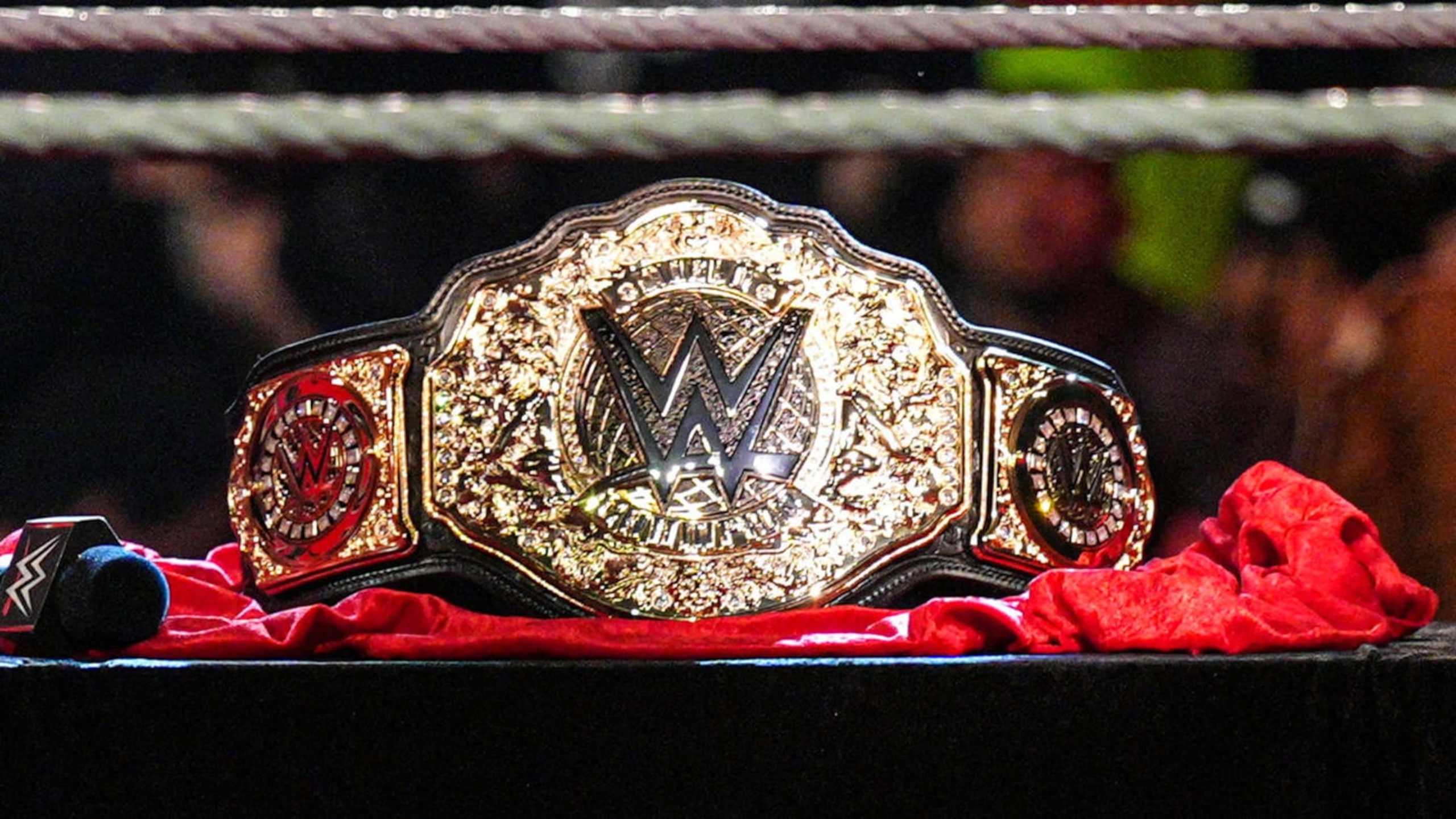 The World Heavyweight Championship.