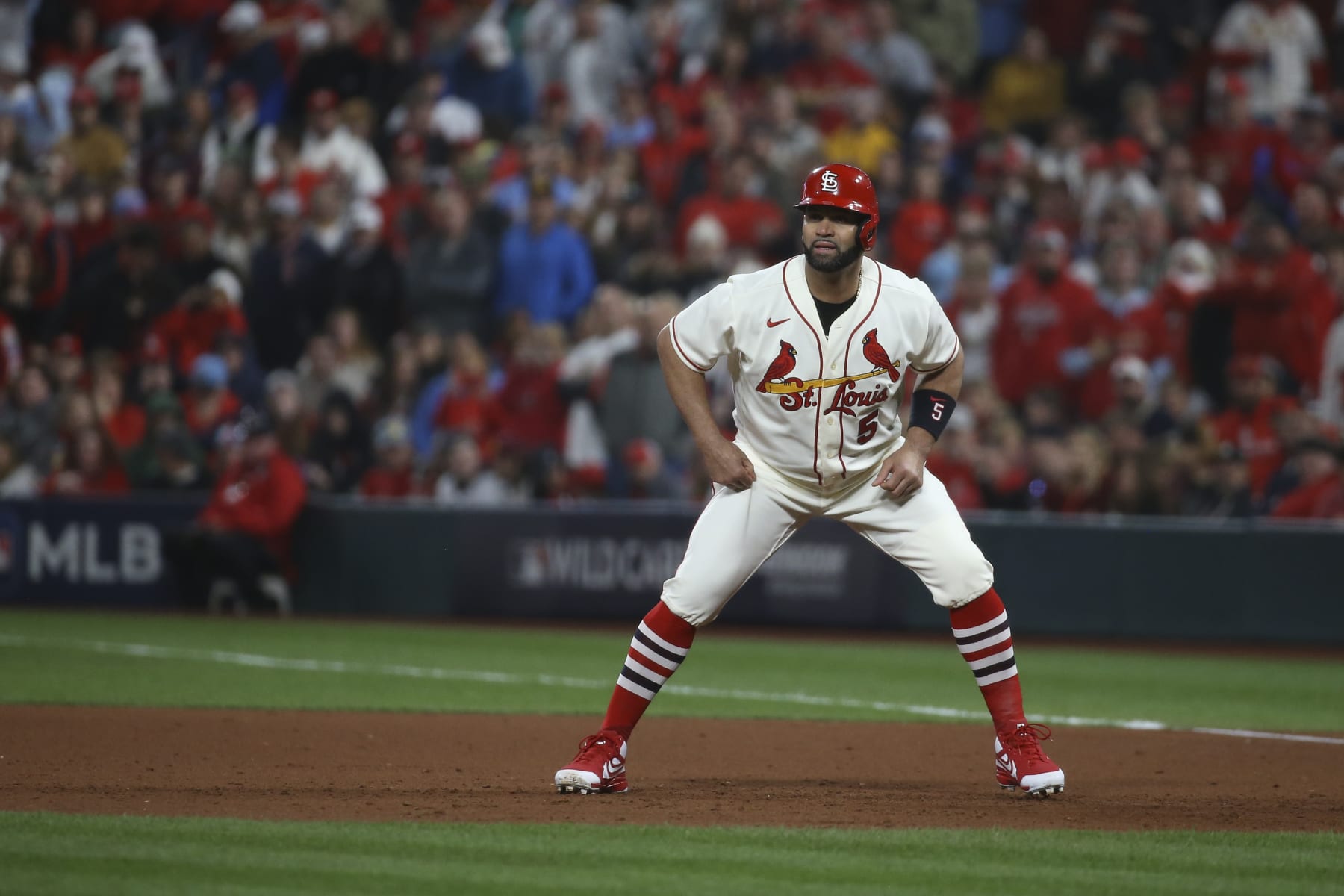 St. Louis Cardinals' Albert Pujols leads off first during the sixth inning in Game 2 of the team's NL wild-card baseball playoff series against the Philadelphia Phillies, Saturday, Oct. 8, 2022, in St. Louis. (AP Photo/Scott Kane)