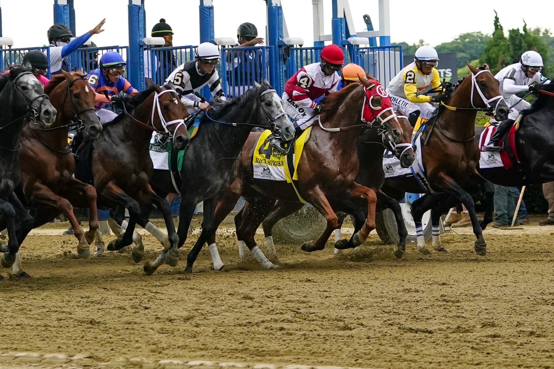 The starting gate for the 2022 Belmont Stakes.