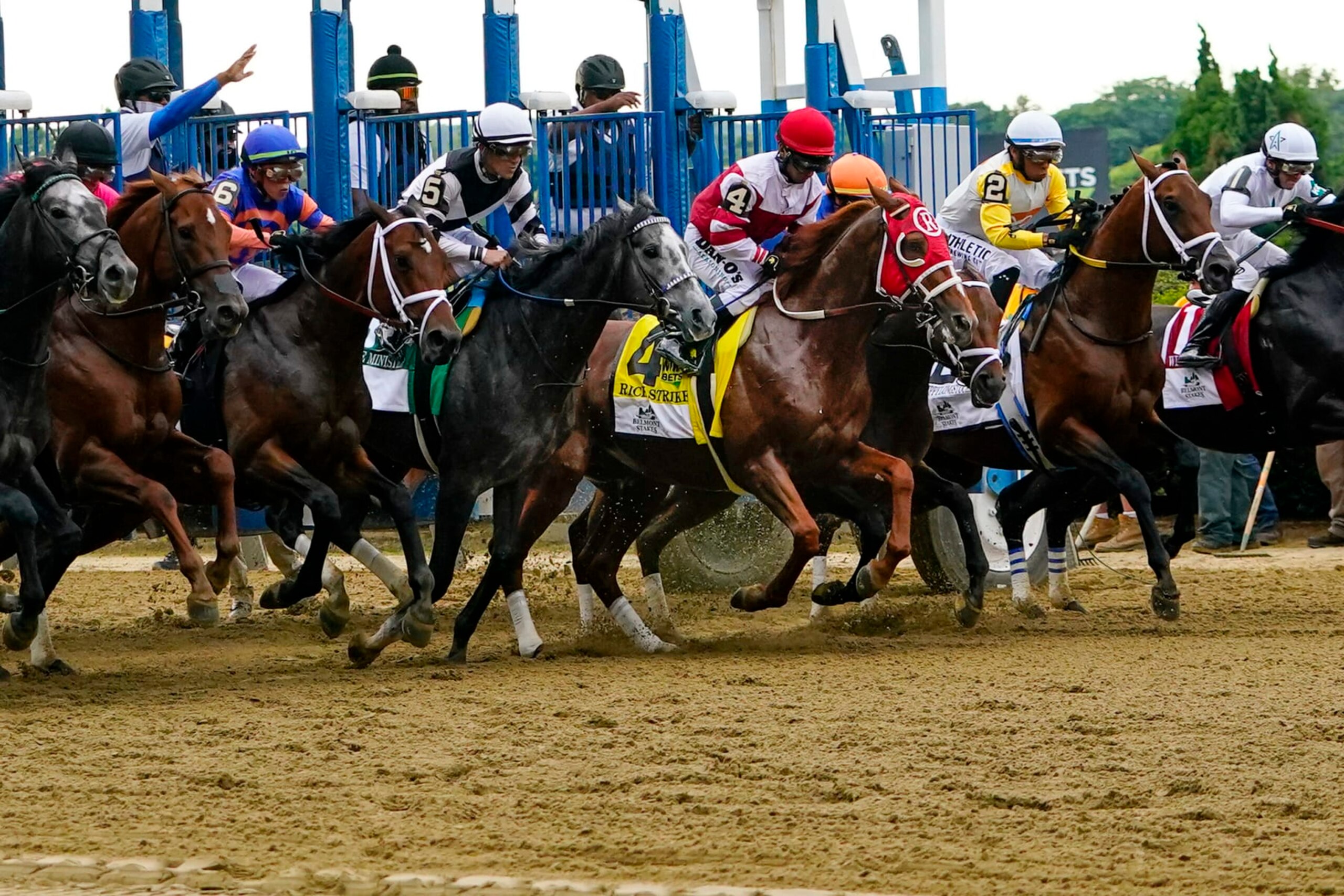 The starting gate for the 2022 Belmont Stakes.