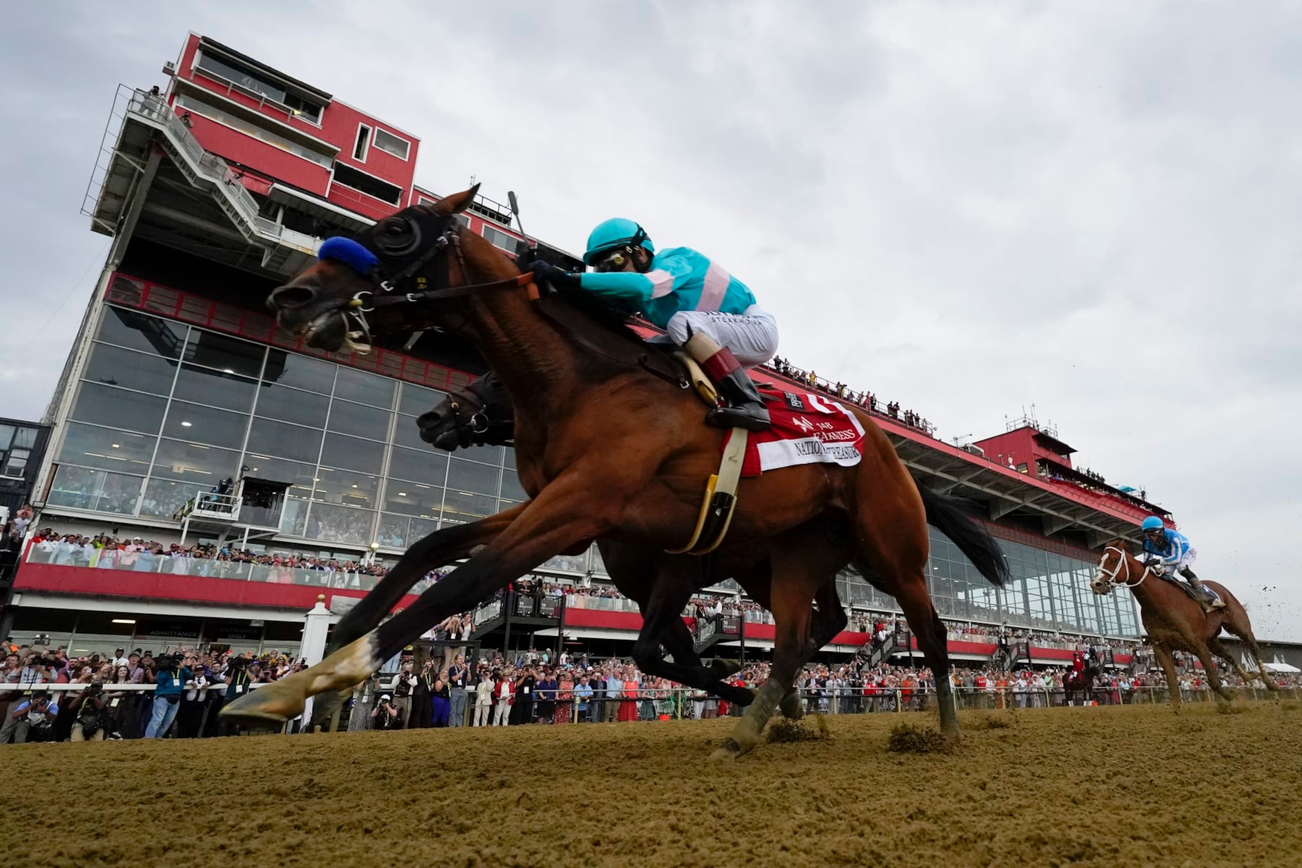 National Treasure will look to keep up the momentum from his Preakness victory.