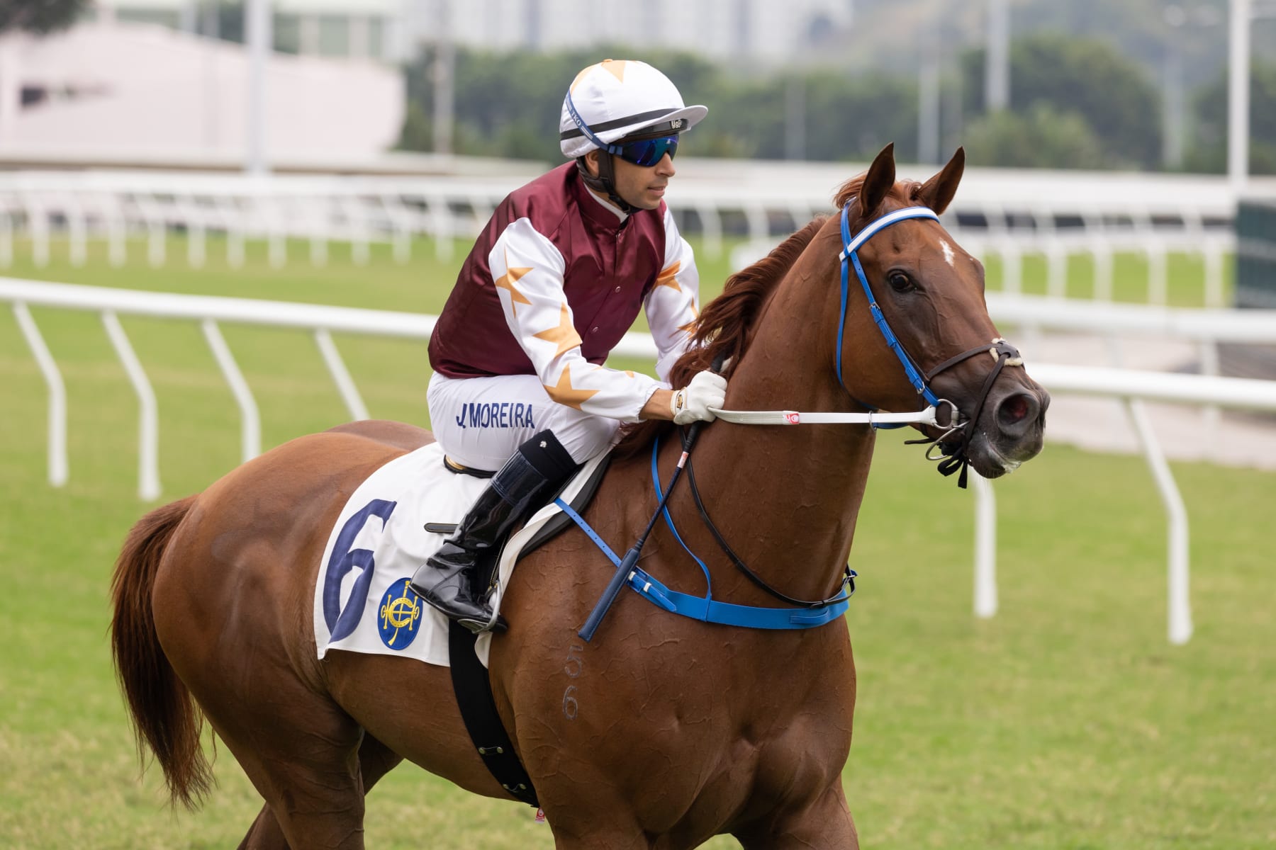  Jockey Joao Moreira and Forte 