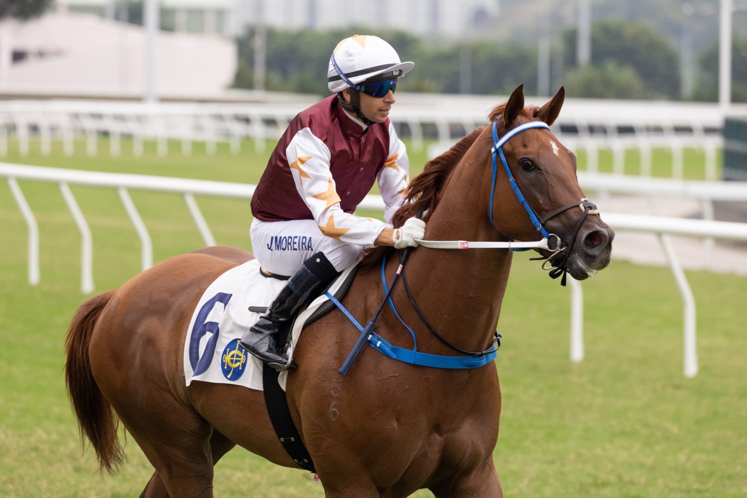  Jockey Joao Moreira and Forte 
