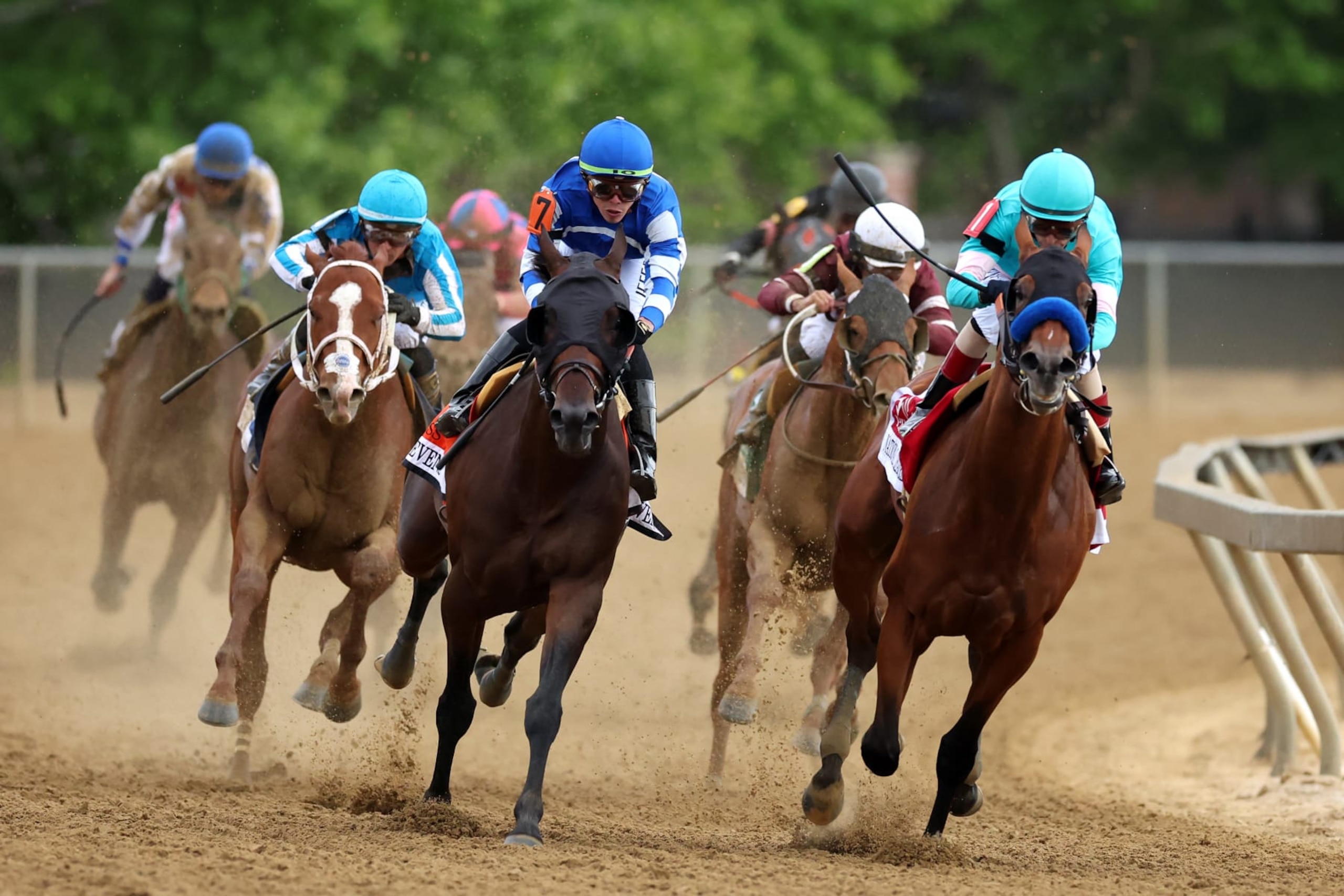 National Treasure won the 2023 Preakness