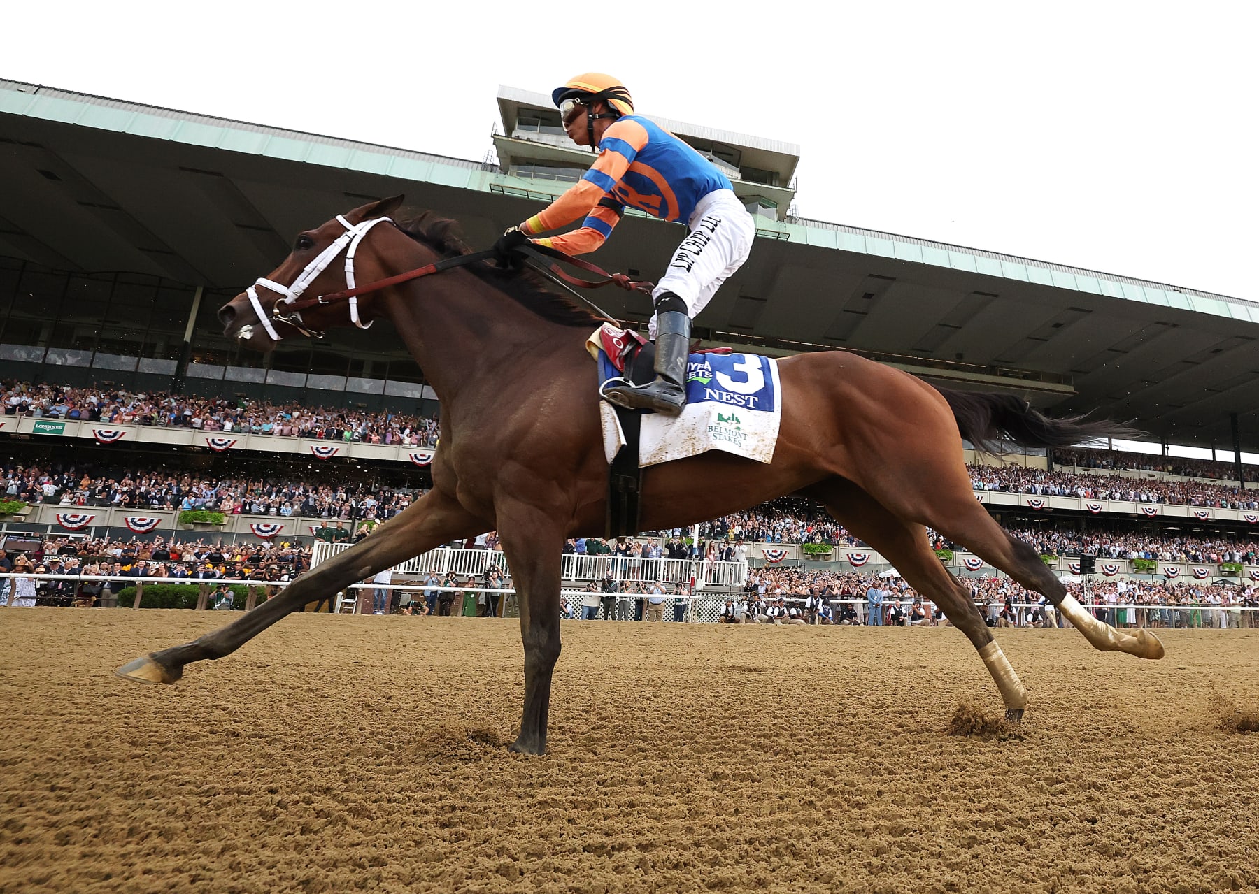2022 Belmont runner-up Nest with jockey Jose Ortiz
