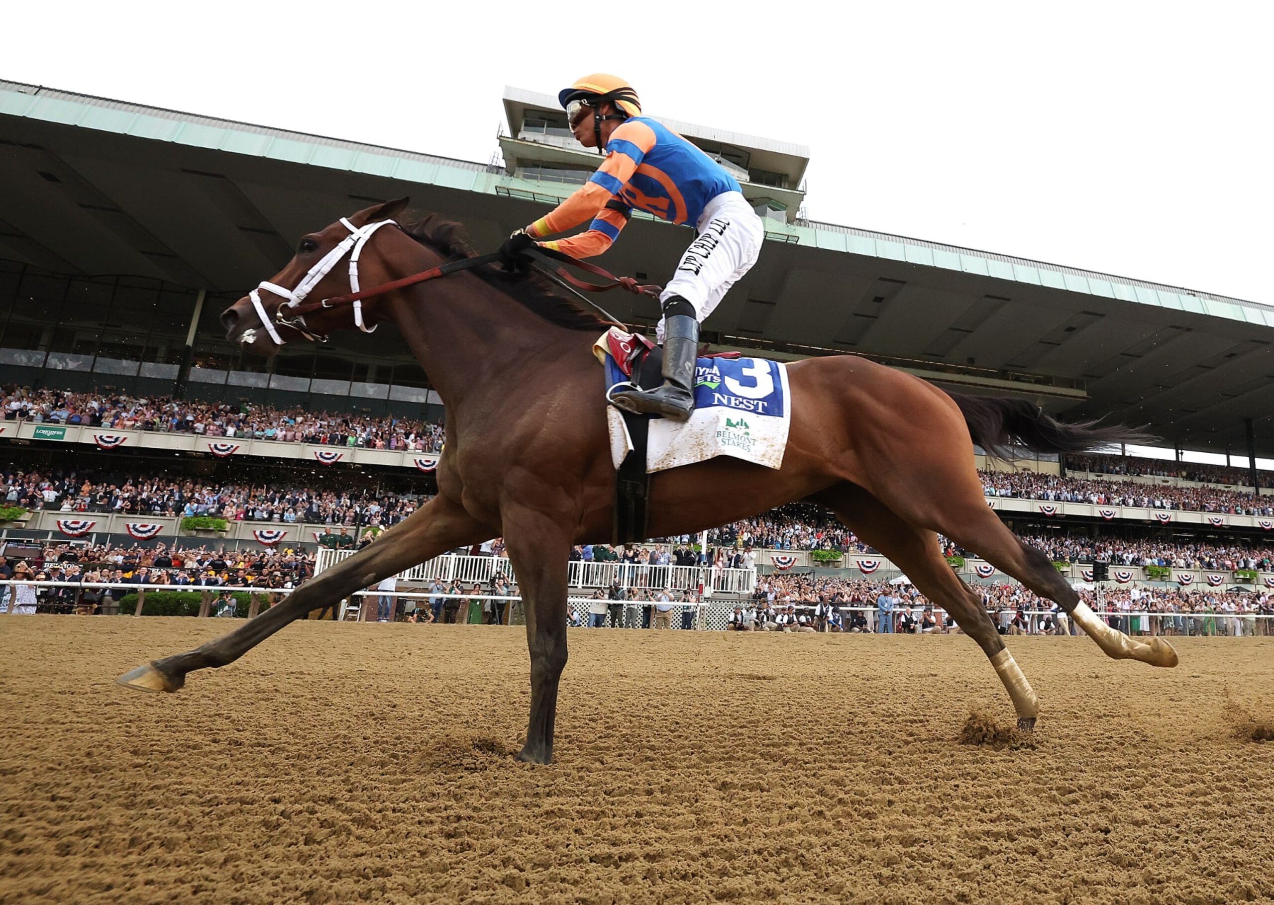 2022 Belmont runner-up Nest with jockey Jose Ortiz