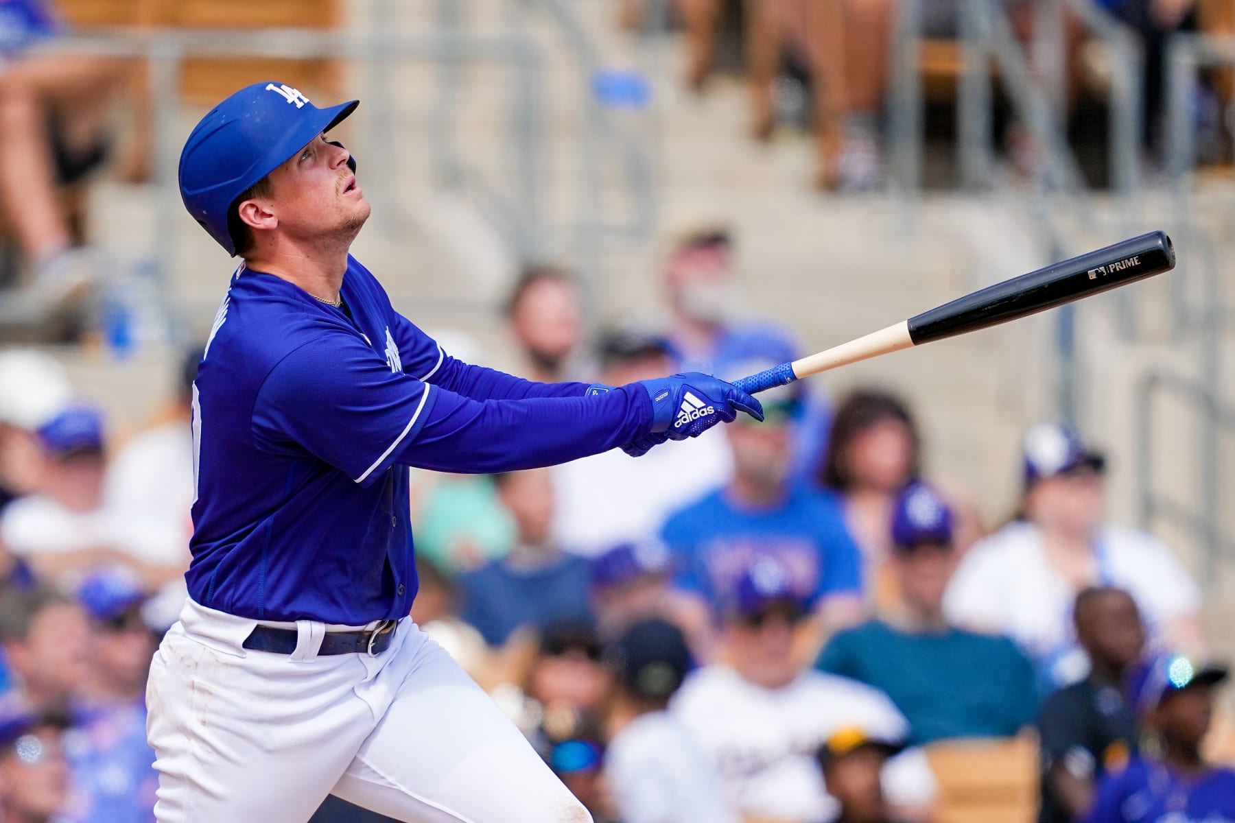 GLENDALE, ARIZONA - MARCH 10: Devin Mann #70 of the Los Angeles Dodgers flies out in the second inning against the Los Angeles Angels during a spring training game at Camelback Ranch on March 10, 2023 in Glendale, Arizona. (Photo by Dylan Buell/Getty Images)
