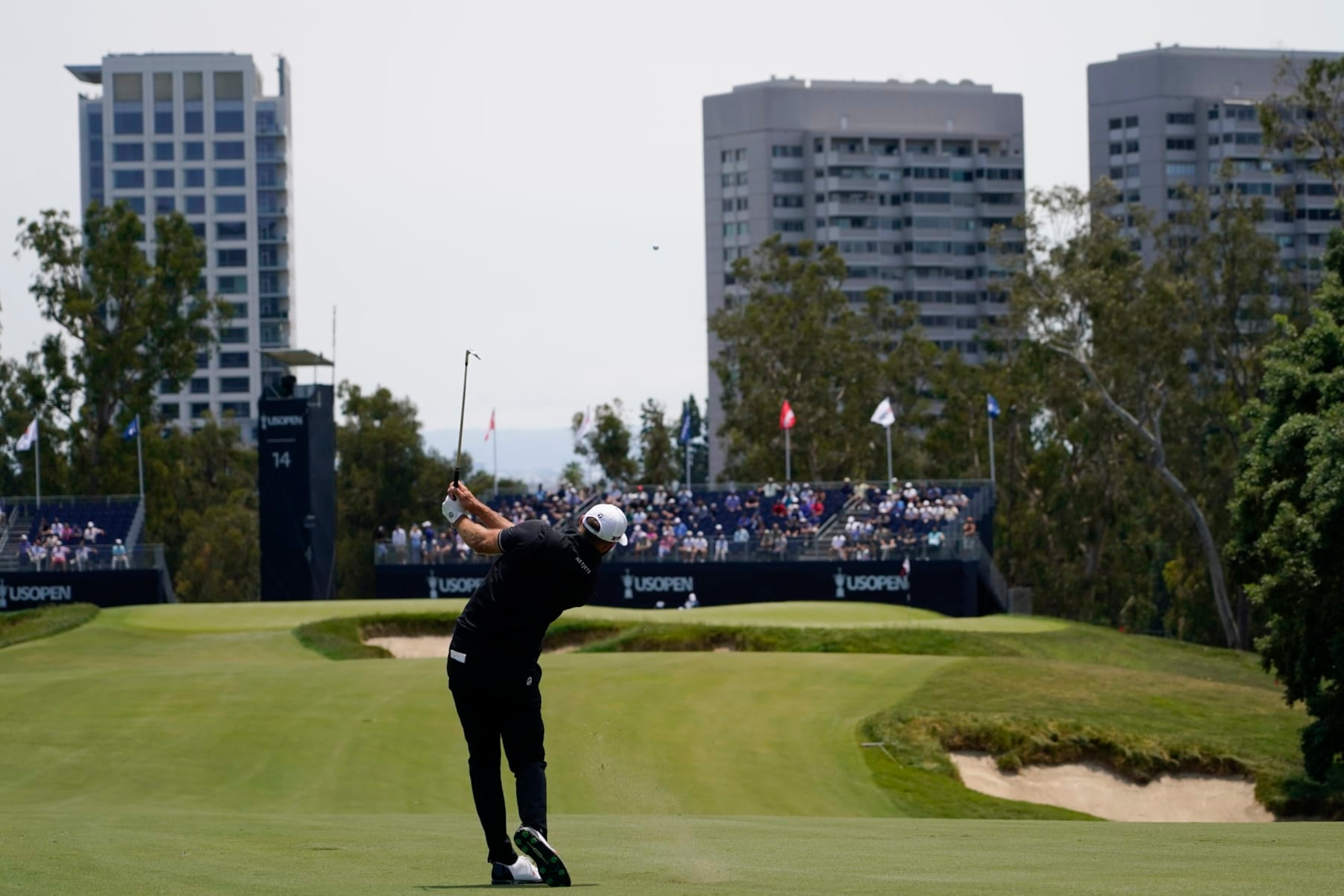 Dustin Johnson