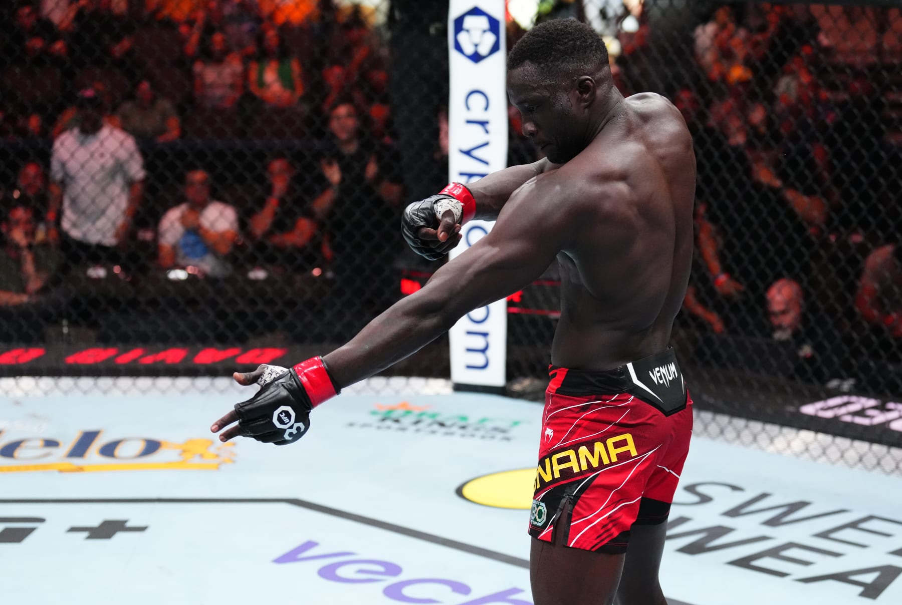 JACKSONVILLE, FLORIDA - JUNE 24:  David Onama of Uganda celebrates his knockout victory over Gabriel Santos of Brazil in their featherweight fight during the UFC Fight Night event at Vystar Veterans Memorial Arena on June 24, 2023 in Jacksonville, Florida. (Photo by Josh Hedges/Zuffa LLC)