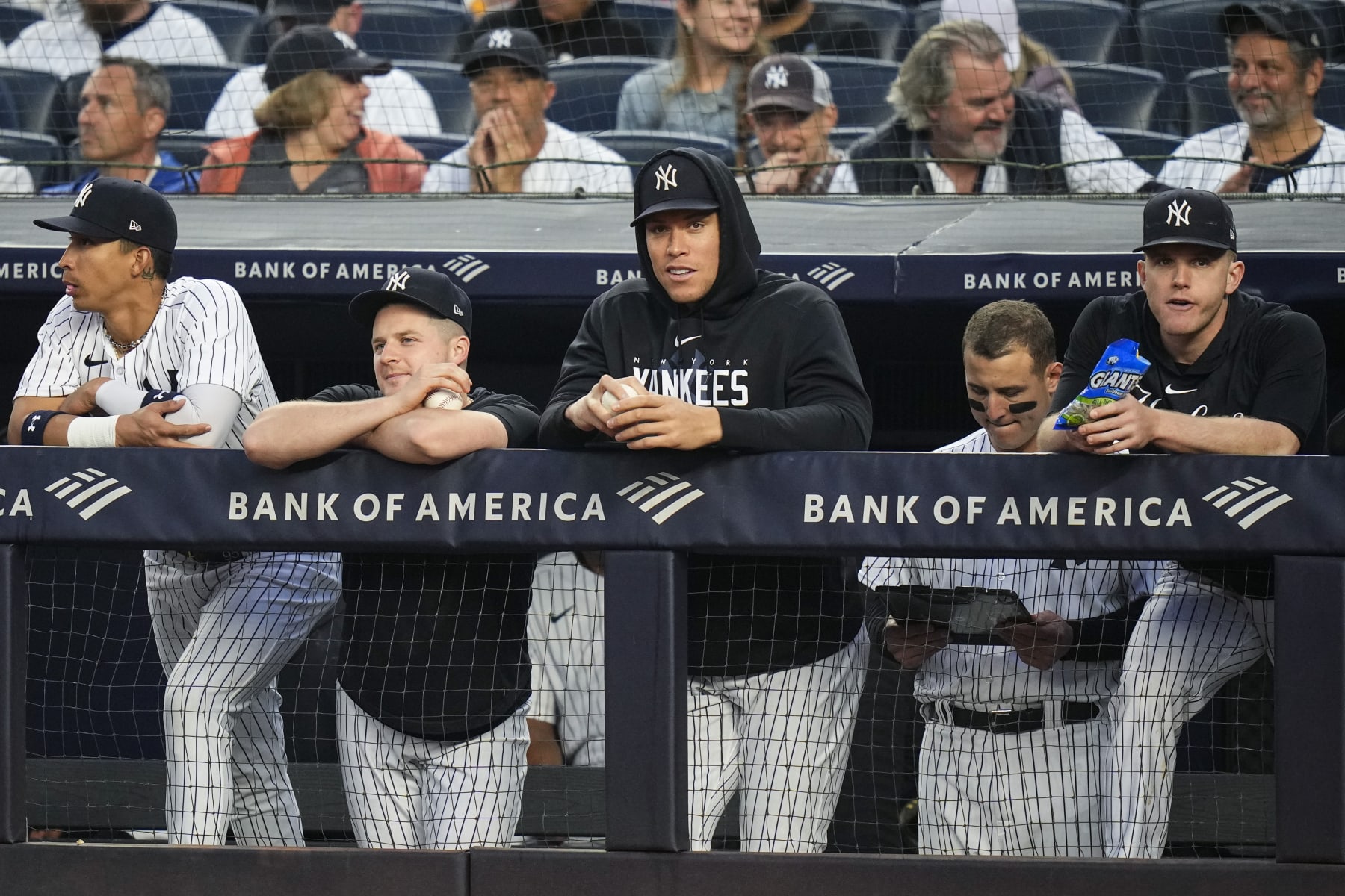 New York's Aaron Judge (C)