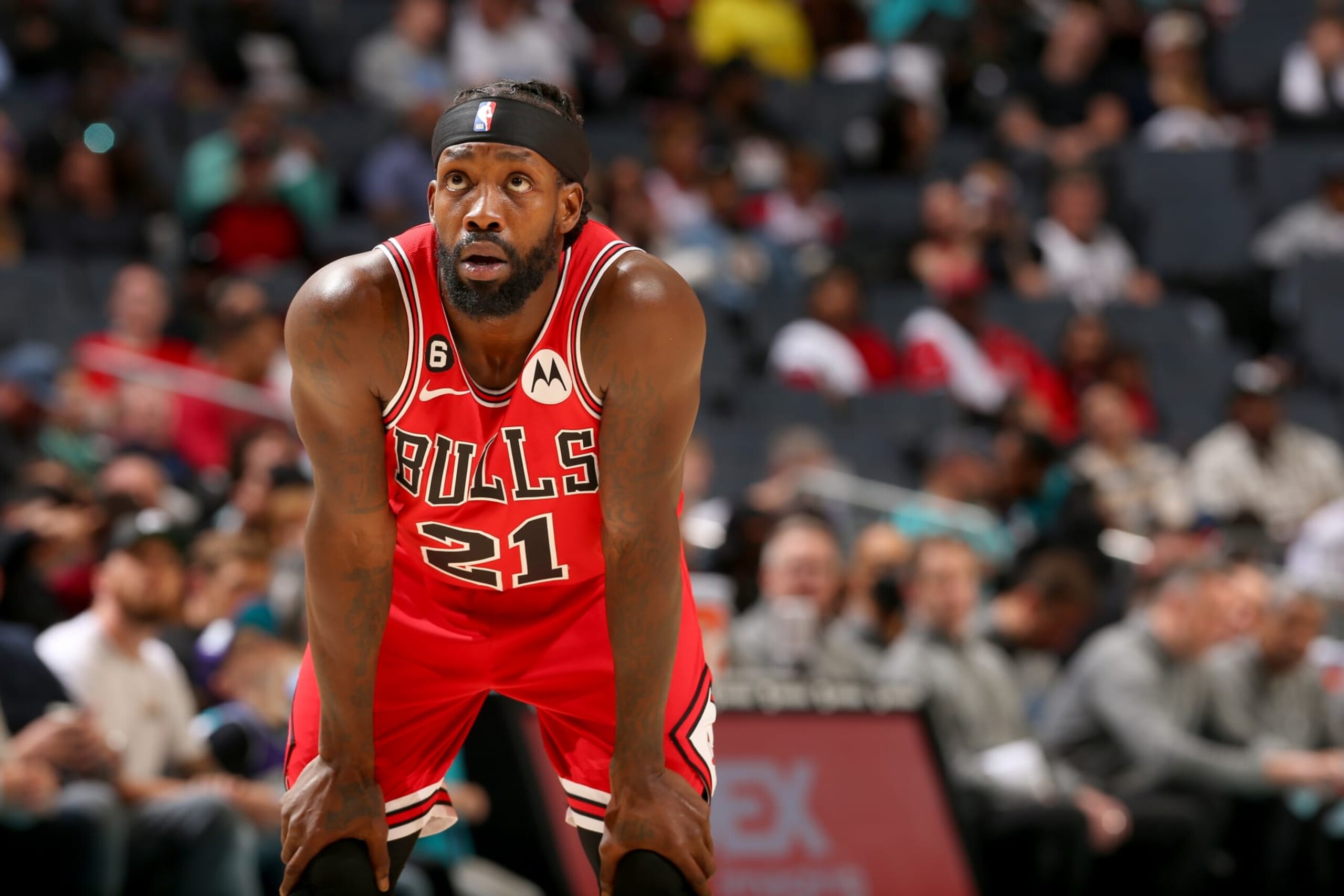 CHARLOTTE, NC - MARCH 31:  Patrick Beverley #21 of the Chicago Bulls looks on during the game against the Charlotte Hornets on March 31, 2023 at Spectrum Center in Charlotte, North Carolina. NOTE TO USER: User expressly acknowledges and agrees that, by downloading and or using this photograph, User is consenting to the terms and conditions of the Getty Images License Agreement. Mandatory Copyright Notice: Copyright 2023 NBAE (Photo by Kent Smith/NBAE via Getty Images)