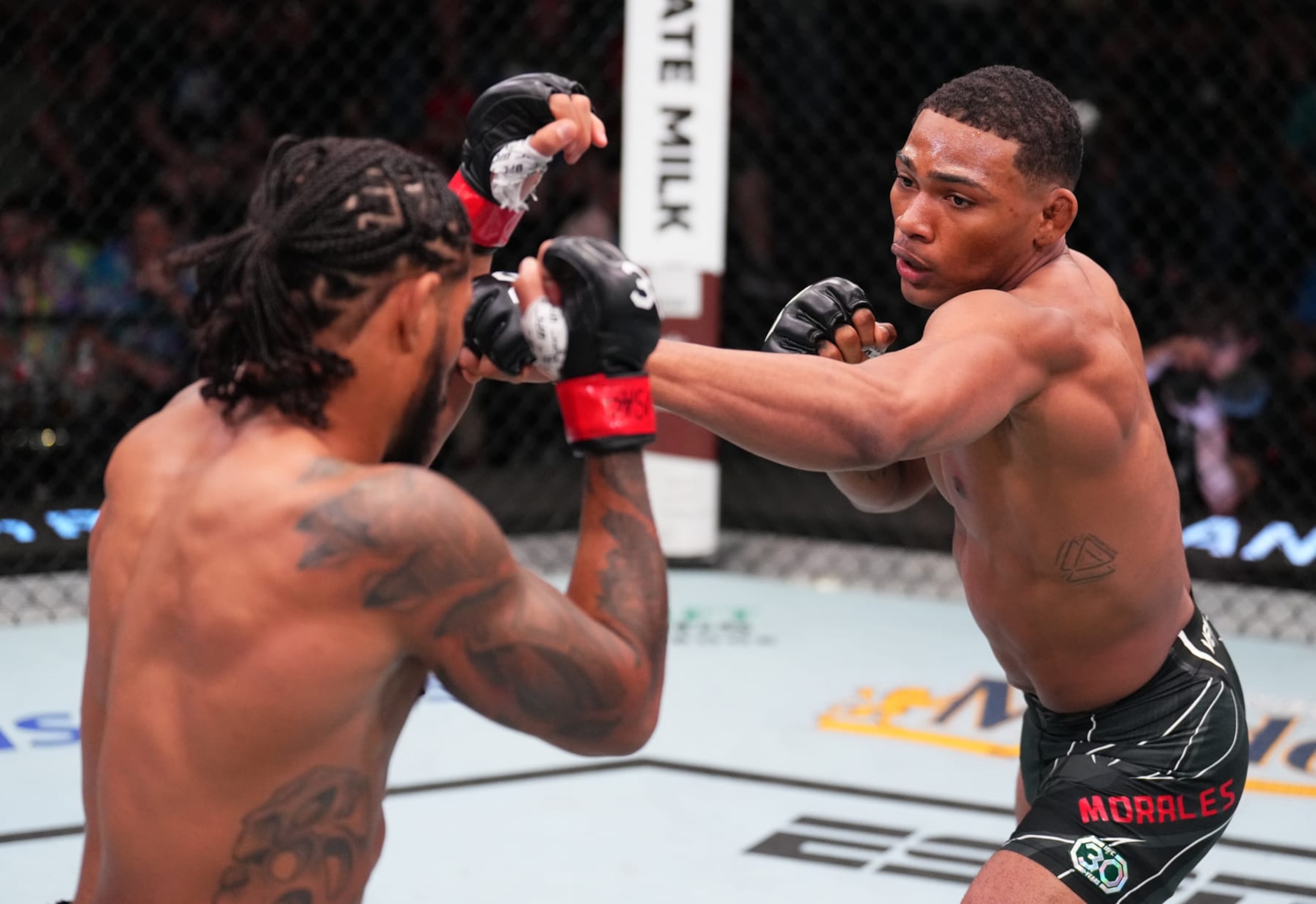 LAS VEGAS, NEVADA - JULY 01: (R-L) Michael Morales of Ecuador punches Max Griffin in a welterweight fight during the UFC Fight Night event at UFC APEX on July 01, 2023 in Las Vegas, Nevada. (Photo by Chris Unger/Zuffa LLC via Getty Images)