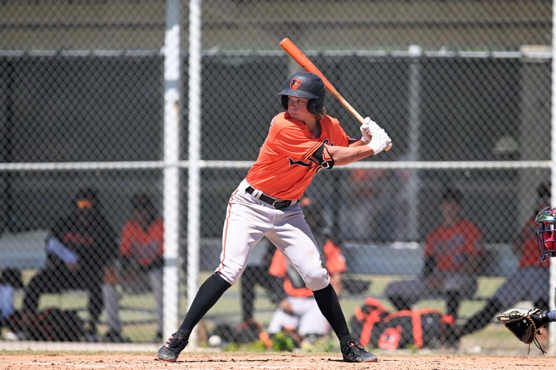SARASOTA, FLORIDA - MARCH 21, 2023: Jackson Holliday #87 of the Baltimore Orioles bats during a minor league spring training game against the Atlanta Braves at the Buck ONeil Baseball Complex on March 21, 2023 in Sarasota, Florida. (Photo by Nick Cammett/Diamond Images via Getty Images)