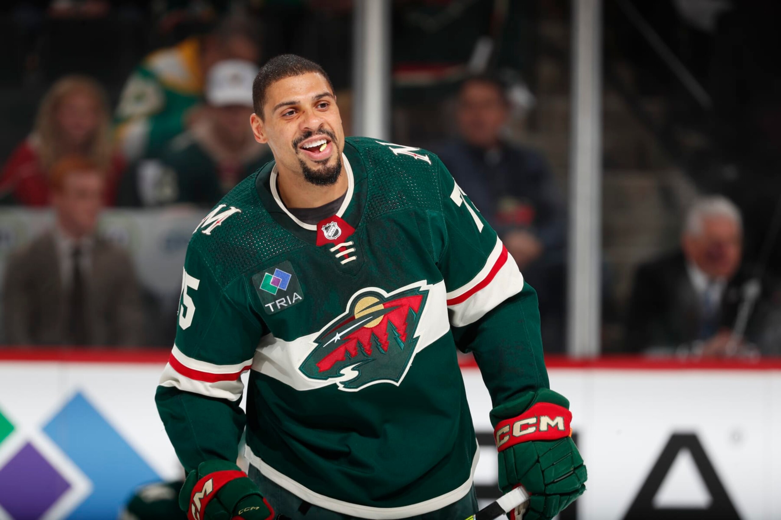 Will Ryan Reaves be the key to getting the Leafs deeper into the playoffs?