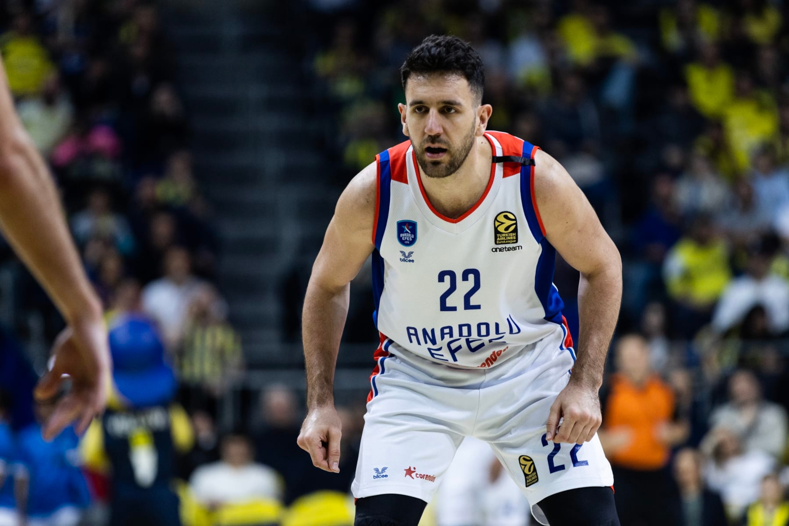 Vasilije MiciÄ