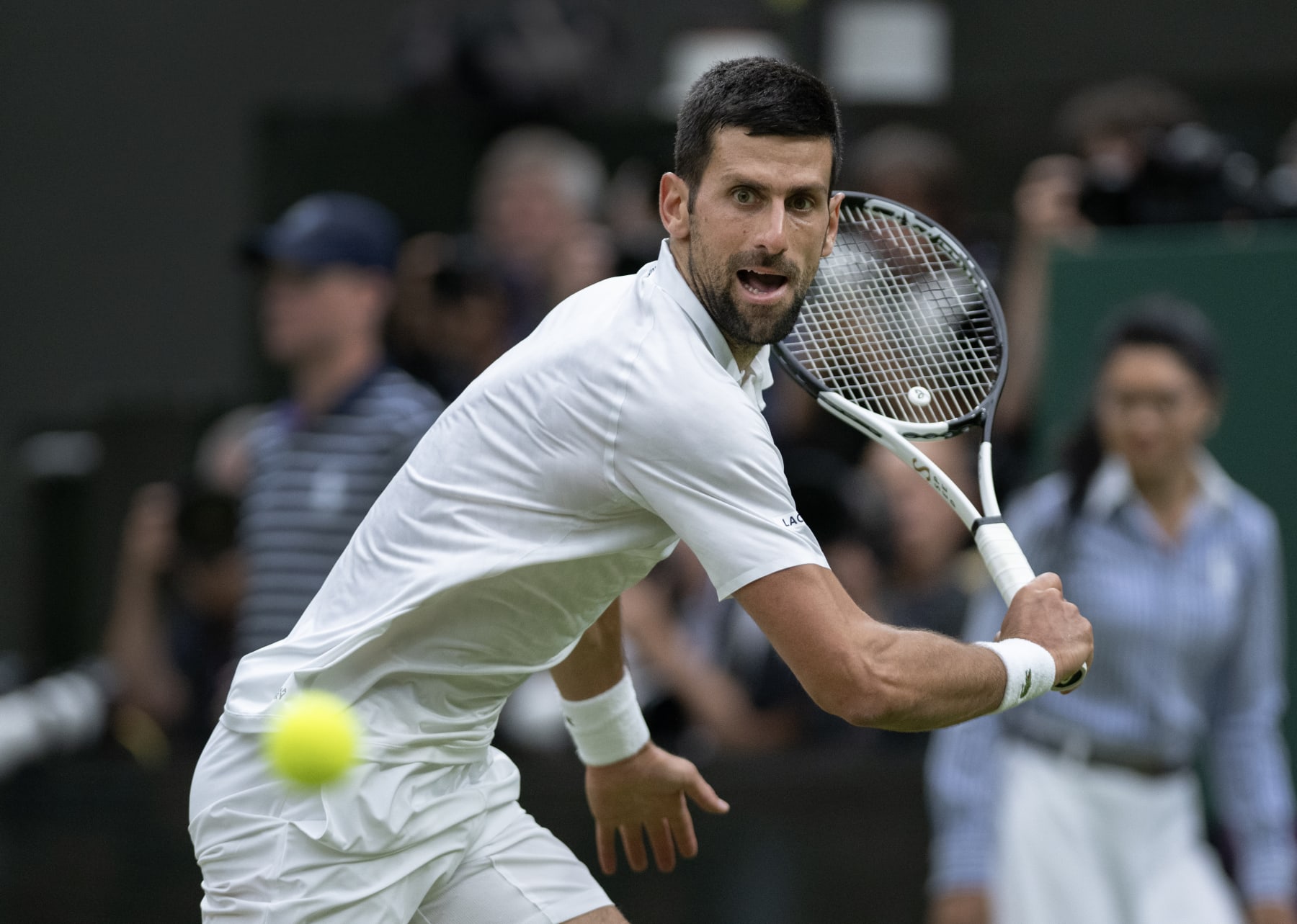 LONDON, ENGLAND - JULY 14: Novak Djokovic of Serbia in action during his semi final victory over Jannik Sinner of Italy during day twelve of The Championships Wimbledon 2023 at All England Lawn Tennis and Croquet Club on July 14, 2023 in London, England. (Photo by Visionhaus/Getty Images)