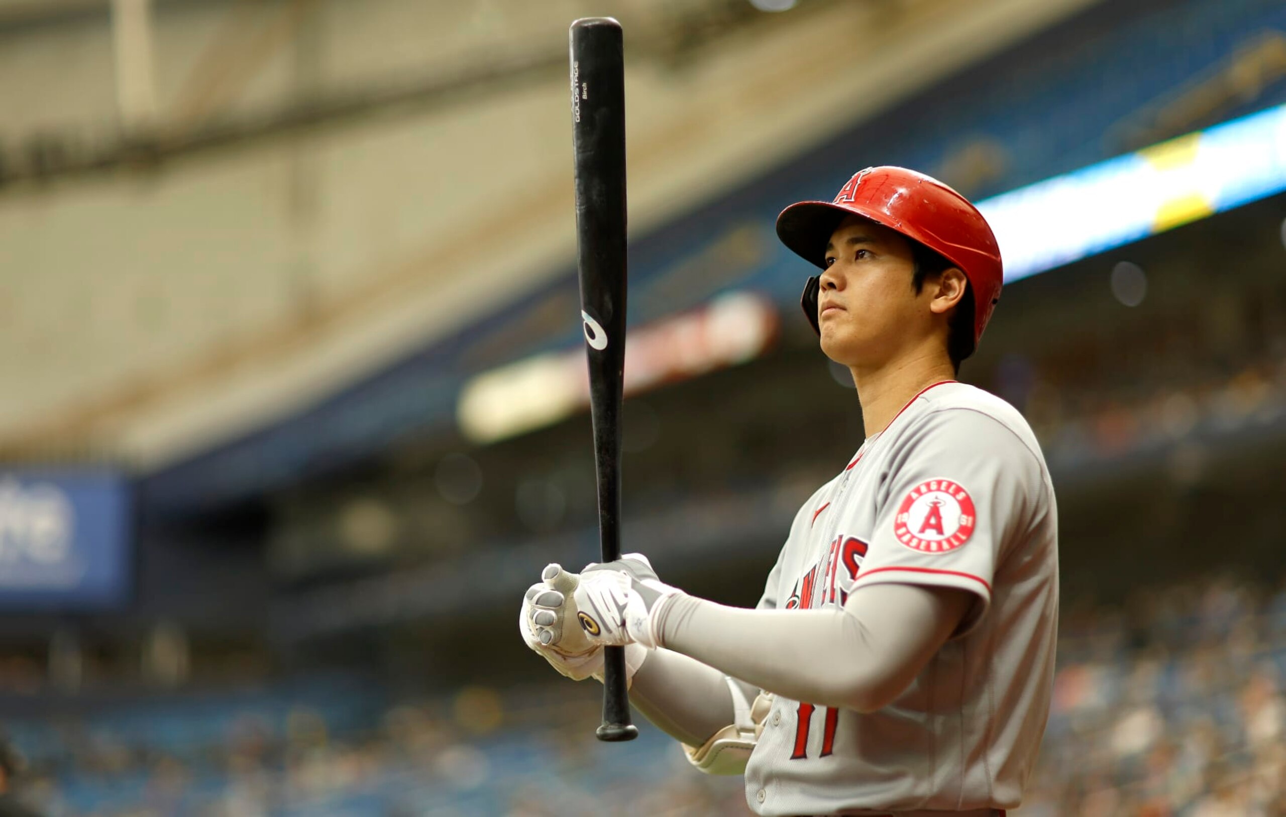 ST PETERSBURG, FLORIDA - AUGUST 25: Shohei Ohtani #17 of the Los Angeles Angels plays during a game against the Tampa Bay Rays at Tropicana Field on August 23, 2022 in St Petersburg, Florida. (Photo by Mike Ehrmann/Getty Images) ST PETERSBURG, FLORIDA - AUGUST 25: Shohei Ohtani #17 of the Los Angeles Angels plays during a game against the Tampa Bay Rays at Tropicana Field on August 23, 2022 in St Petersburg, Florida. (Photo by Mike Ehrmann/Getty Images)