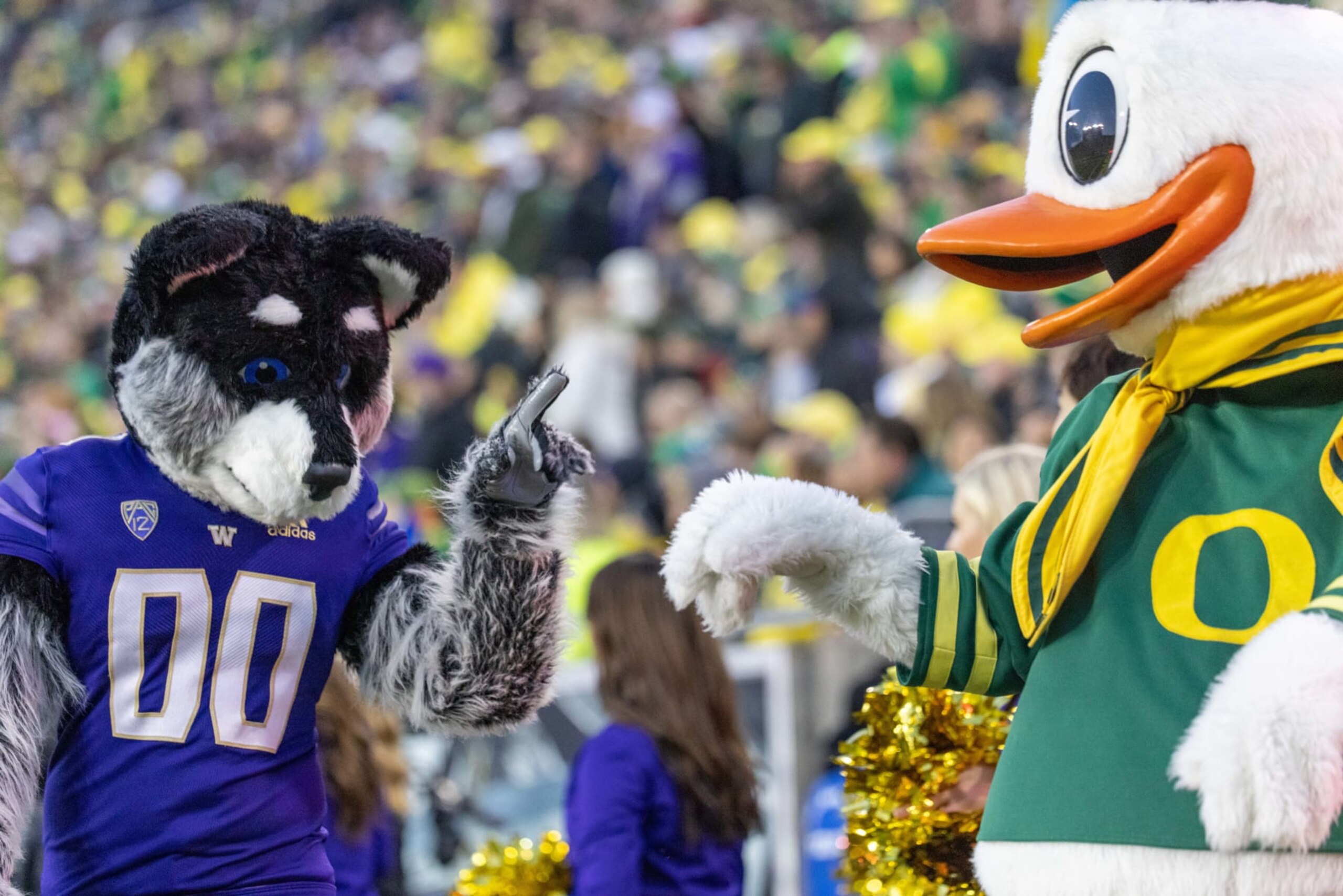 EUGENE, OR - NOVEMBER 12: The mascots of the Oregon Ducks and the Washington Huskies cheer on the  sidelines during the first half  at Autzen Stadium on November 12, 2022 in Eugene, Oregon. (Photo by Tom Hauck/Getty Images)
