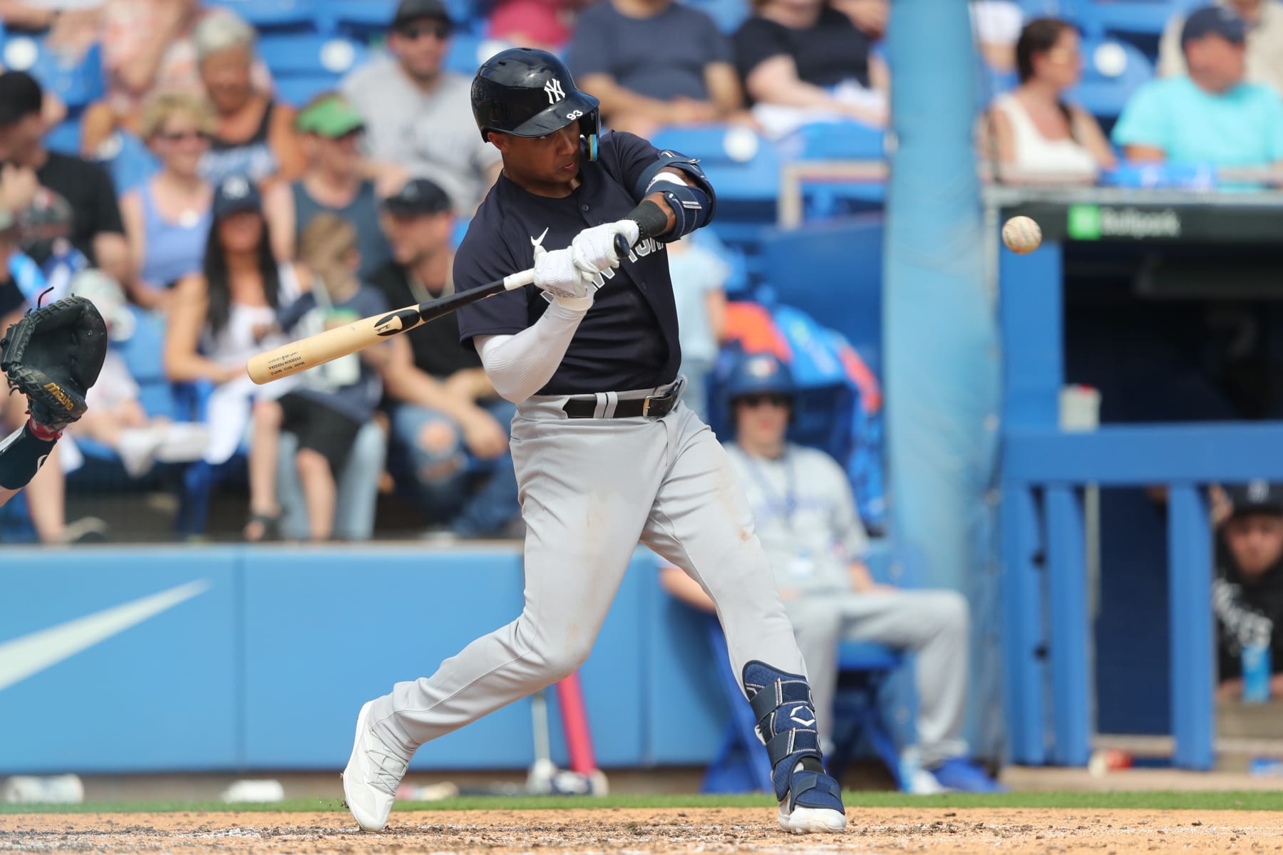DUNEDIN, FL - FEBRUARY 26: New York Yankees DH Everson Pereira (93) at bat during the spring training game between the New York Yankees and the Toronto Blue Jays on February 26, 2023, at the TD Ballpark in Dunedin, FL. (Photo by Cliff Welch/Icon Sportswire via Getty Images)