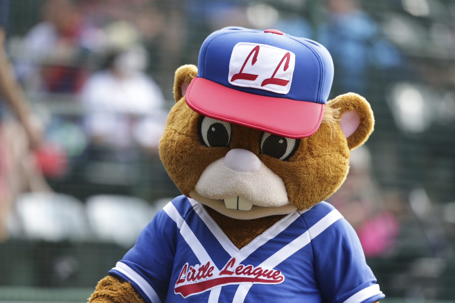 SOUTH WILLIAMSPORT, PENNSYLVANIA - AUGUST 28: Little League mascot Dugout walks before the Little League World Series consolation game at Little League International Complex on August 28, 2022 in South Williamsport, Pennsylvania. (Photo by Joshua Bessex/Getty Images)