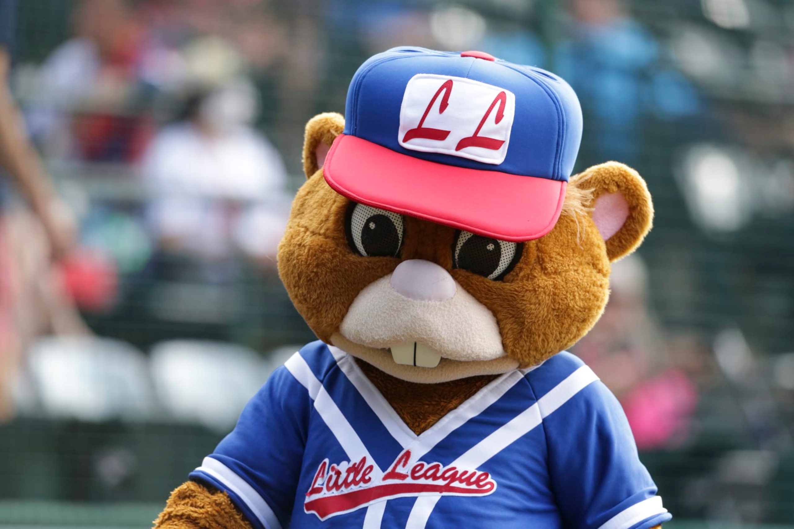 SOUTH WILLIAMSPORT, PENNSYLVANIA - AUGUST 28: Little League mascot Dugout walks before the Little League World Series consolation game at Little League International Complex on August 28, 2022 in South Williamsport, Pennsylvania. (Photo by Joshua Bessex/Getty Images)
