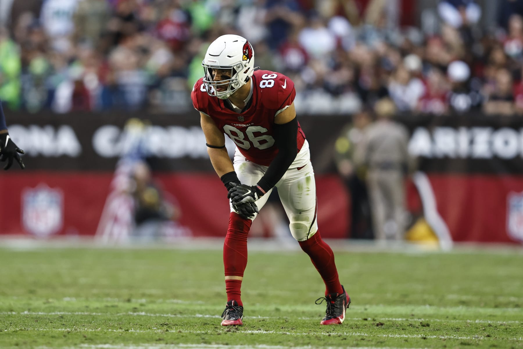 GLENDALE, ARIZONA - NOVEMBER 06: Zach Ertz #86 of the Arizona Cardinals lines up during an NFL Football game between the Arizona Cardinals and the Seattle Seahawks at State Farm Stadium on November 06, 2022 in Glendale, Arizona. (Photo by Michael Owens/Getty Images)